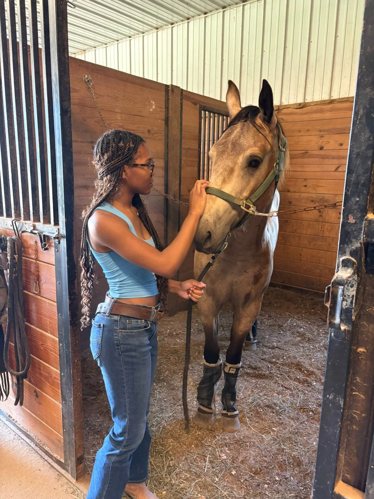 A young woman with braided hair and glasses grooming a light brown horse inside a wooden stable.