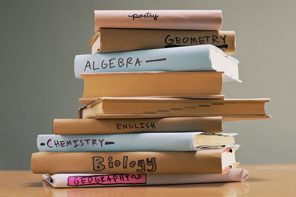 Stack of textbooks labeled with subjects including poetry, geometry, algebra, English, chemistry, biology, and geography on a wooden table against a plain wall.