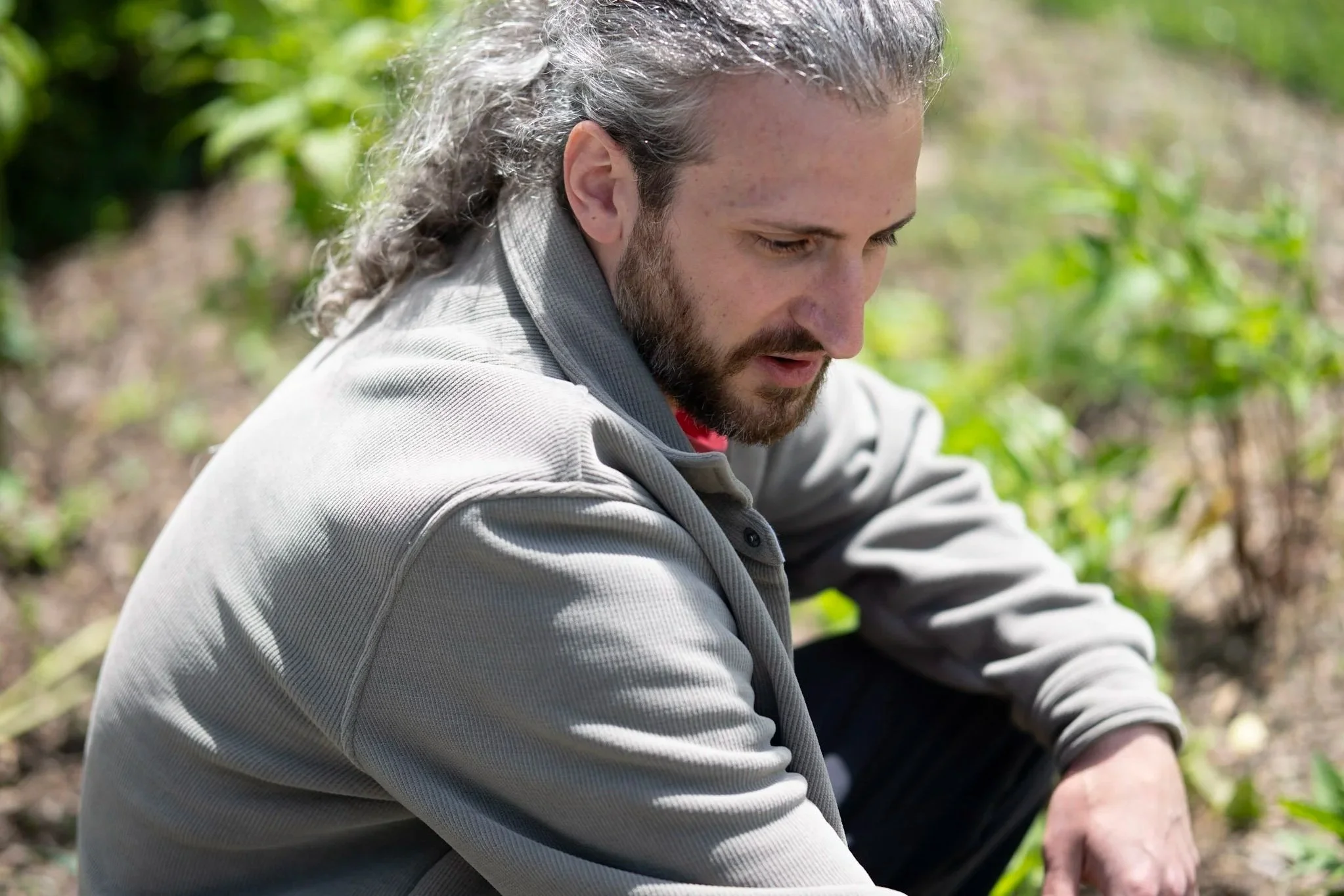 A man with long gray hair and a beard, wearing a gray jacket, kneeling outdoors among green plants, looking downward.