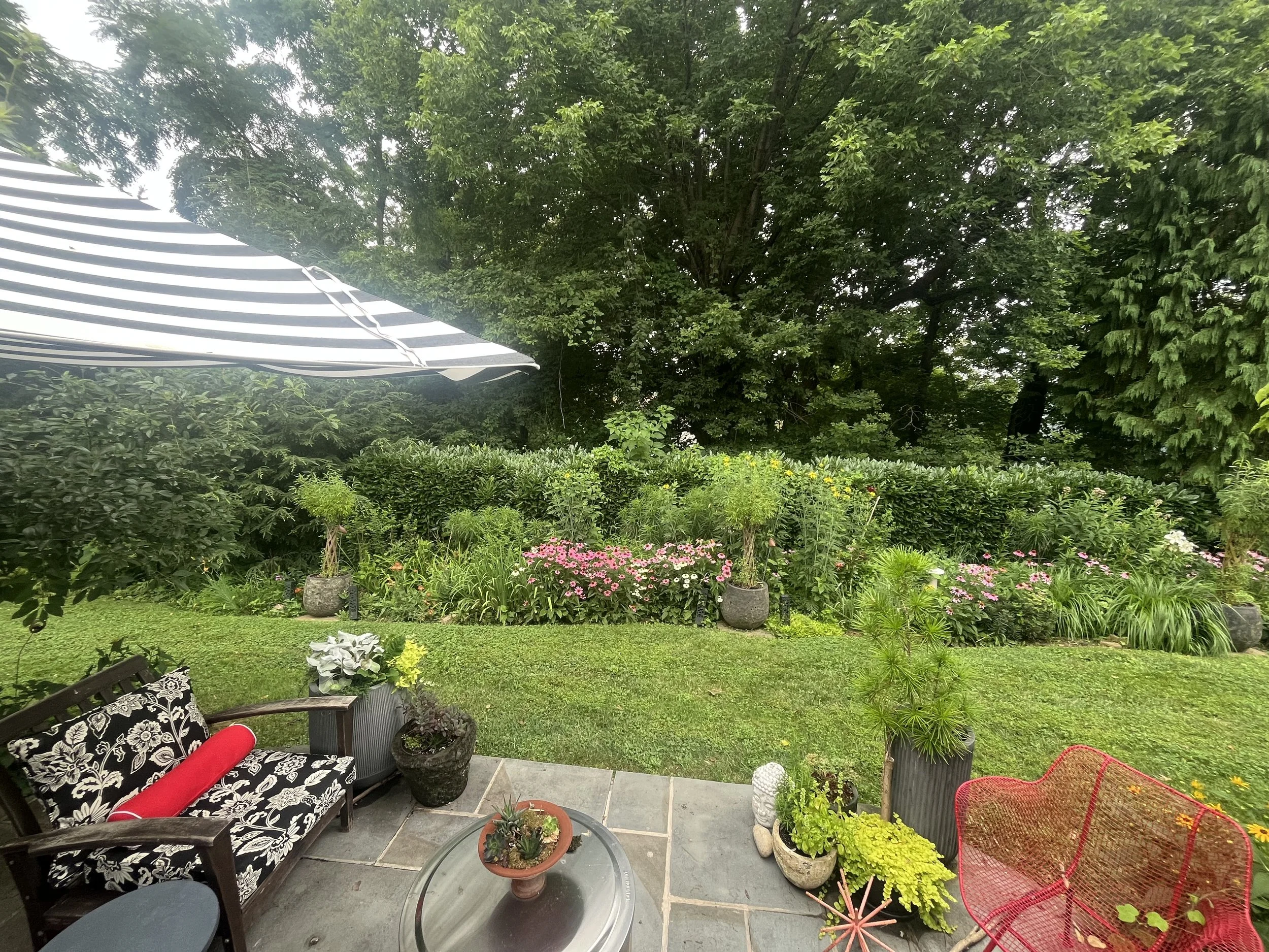 Garden in West Chester, PA (Chester County)