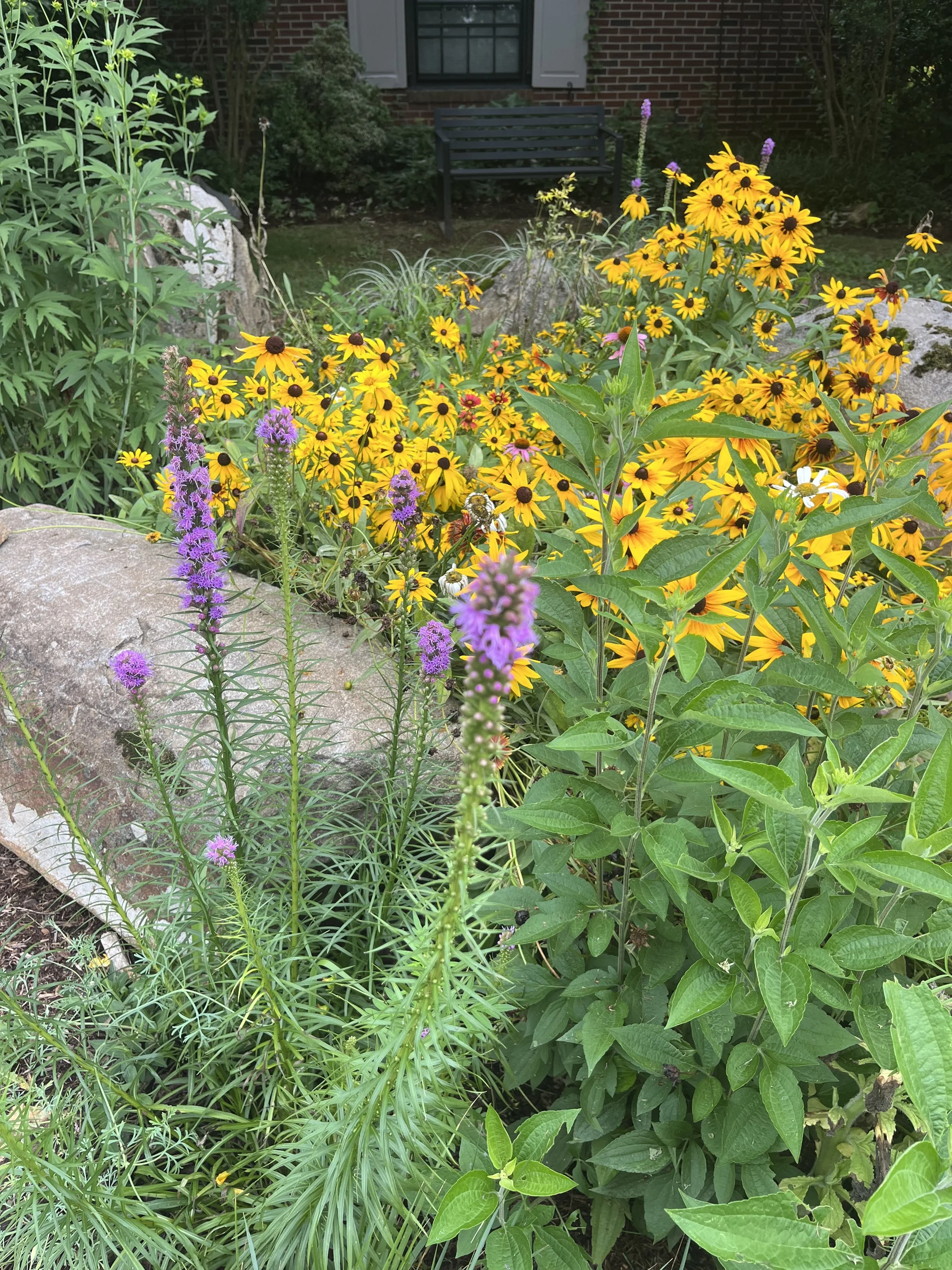 Garden in West Chester, PA (Chester County)