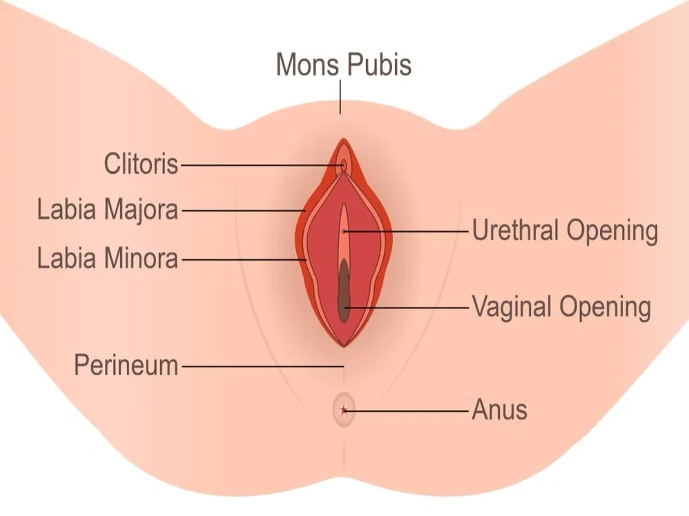Perineal Massage