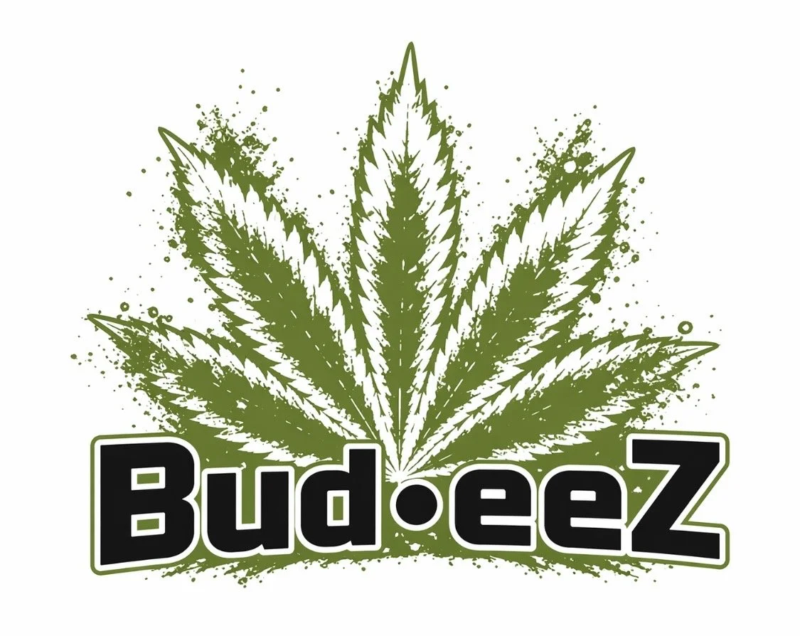 Budeez Studios