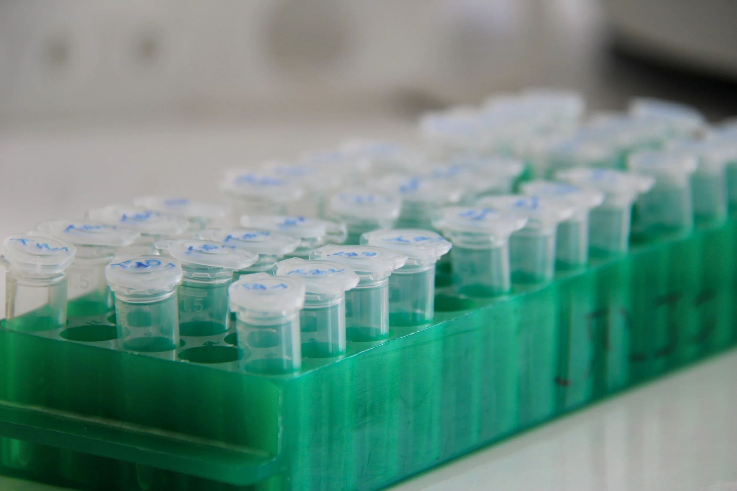Multiple small containers with blue markings are arranged in rows on a green surface, appearing to be in a laboratory setting.