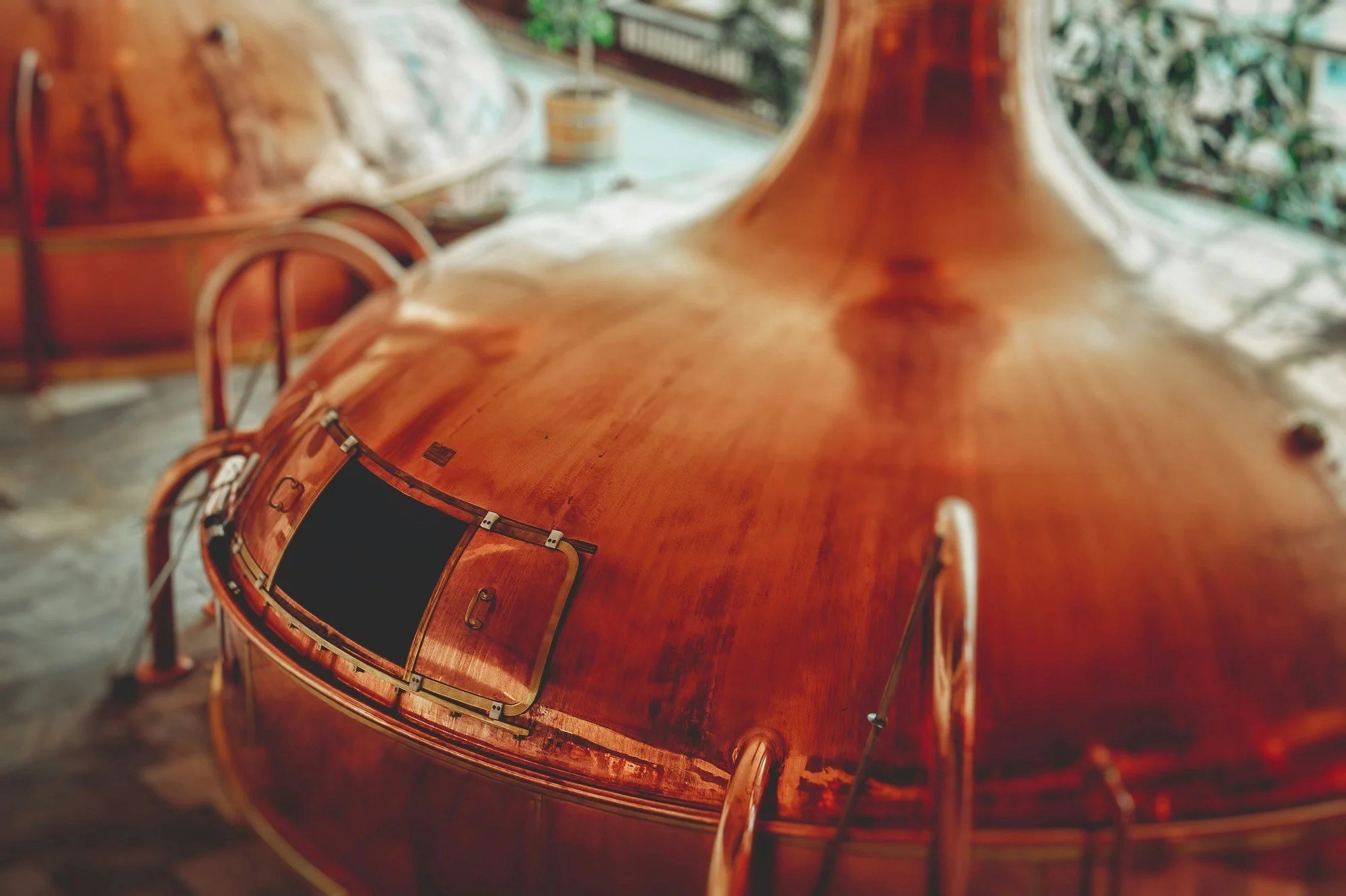 Close-up of a shiny, polished wooden drum, possibly a timpani, with the drum's copper-colored surface reflecting light, set indoors with some greenery visible in the background.