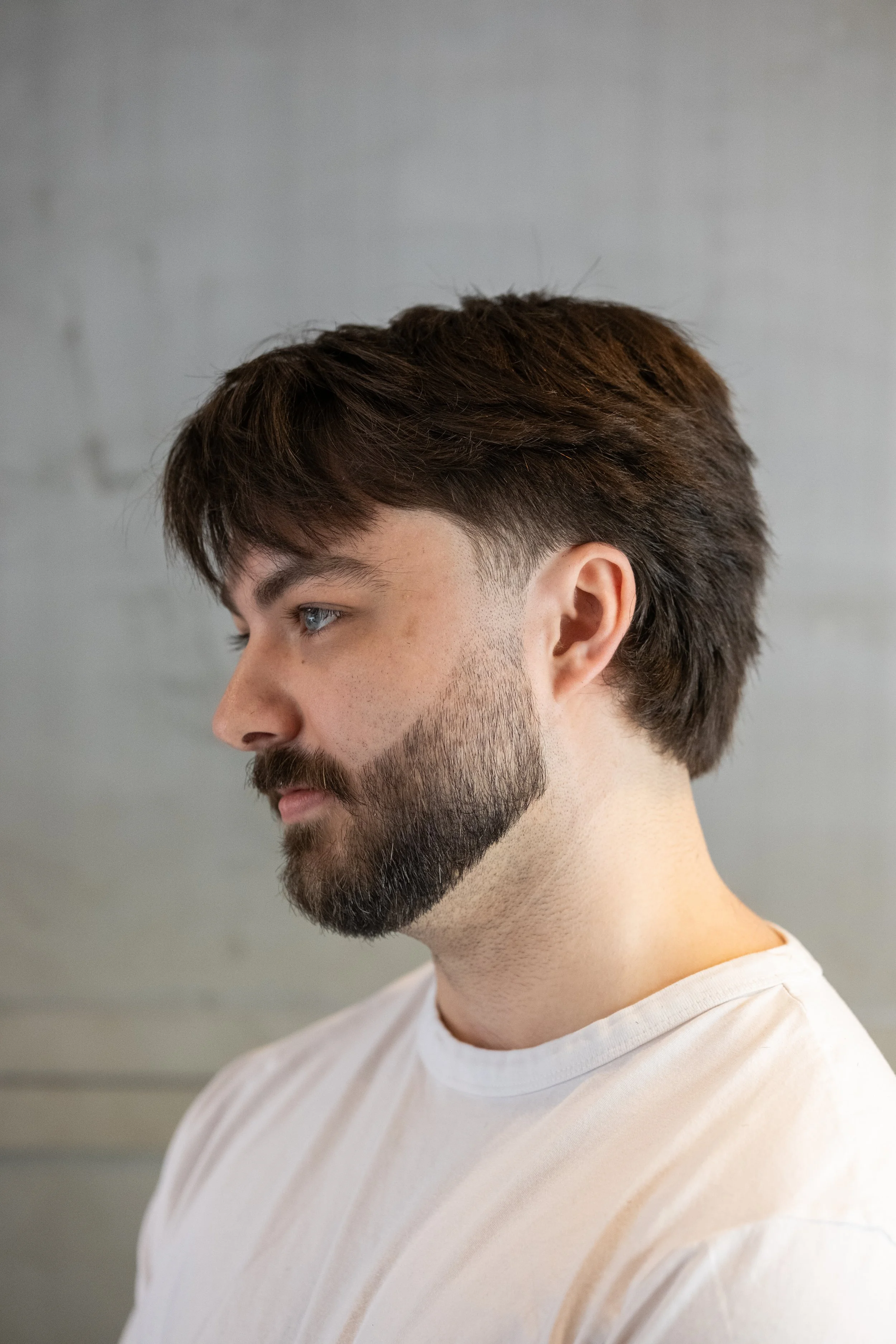 fade beard and hair