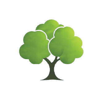 Illustration of a green tree with a thick trunk and rounded leafy canopy.