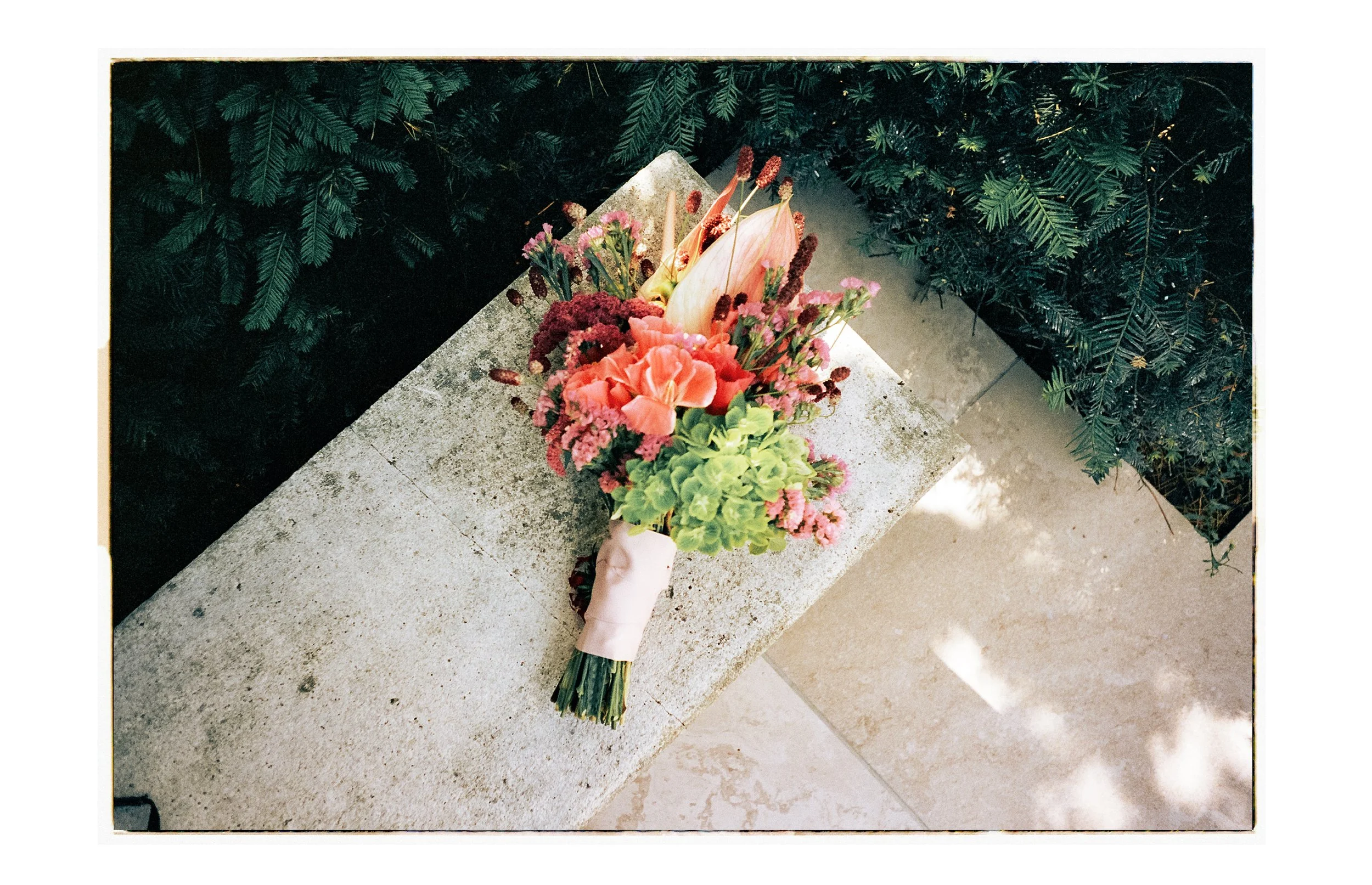 35mm 1.jpg