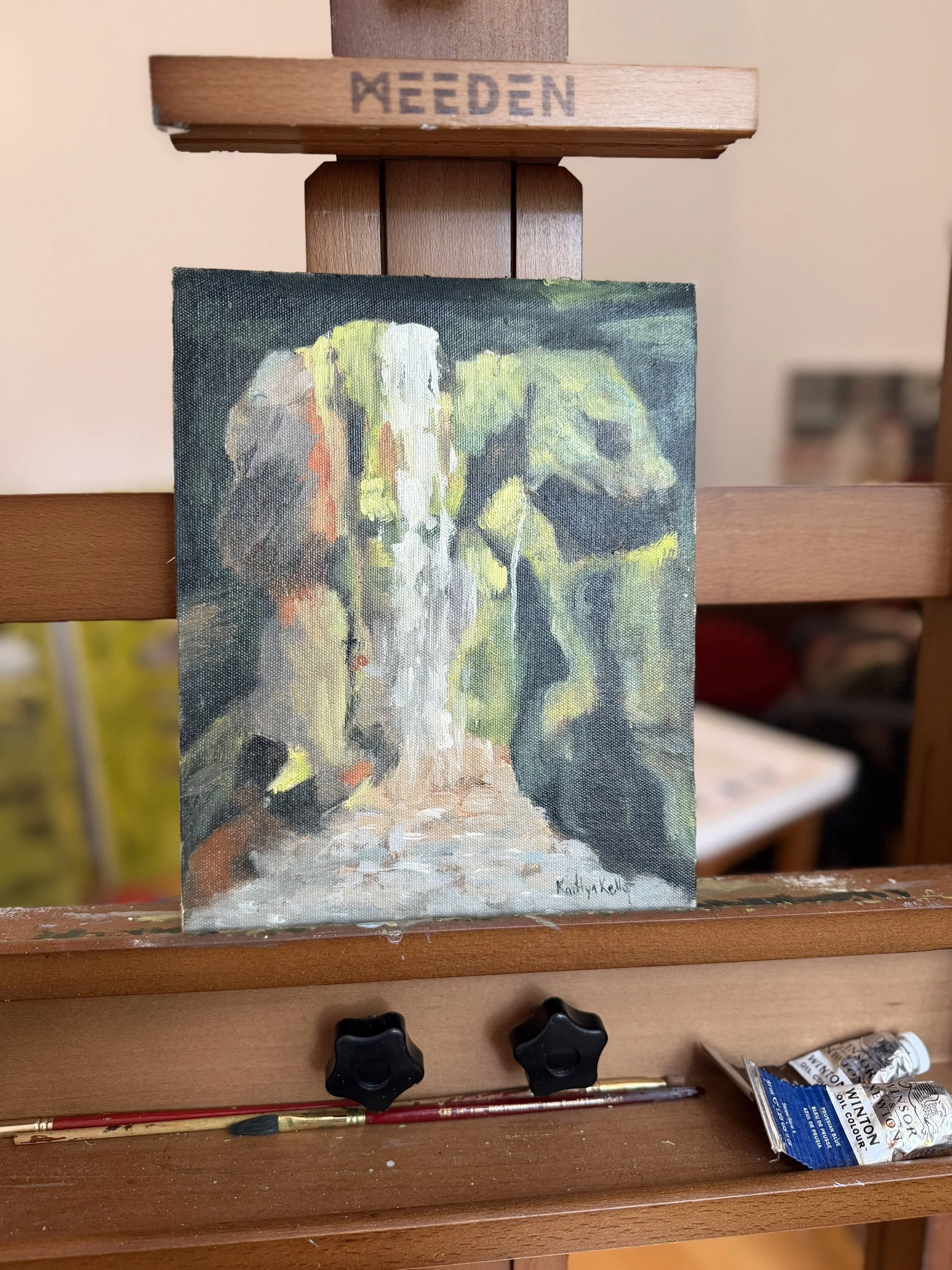 Study 003