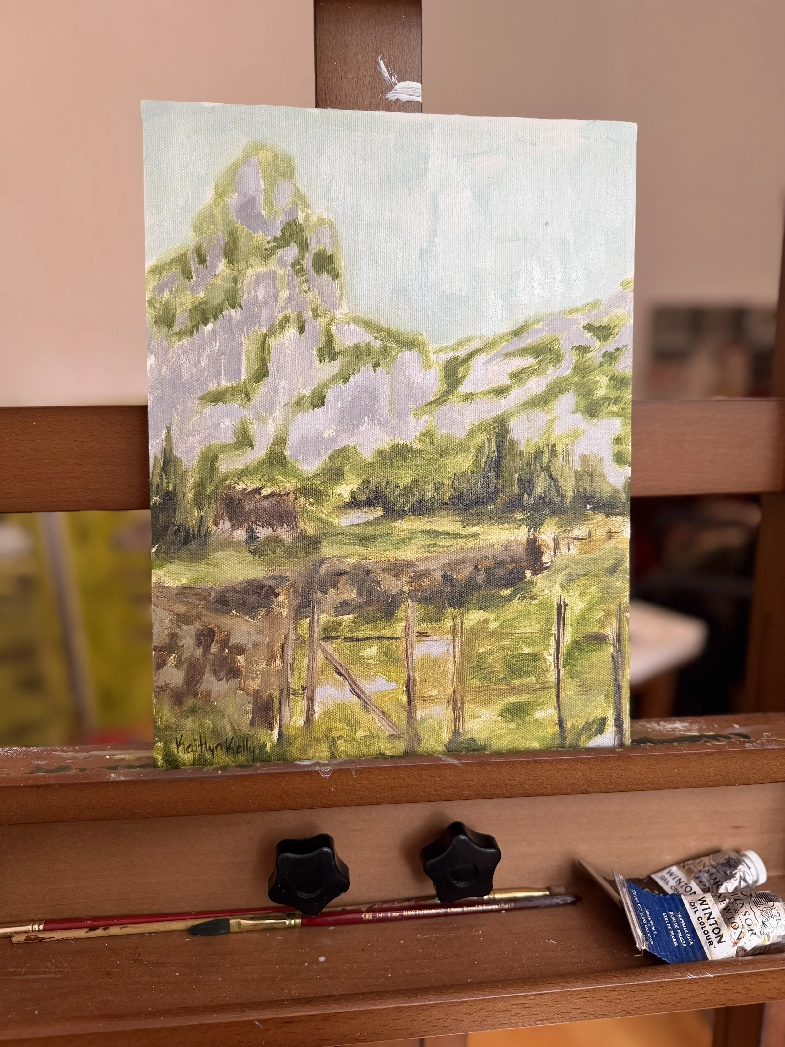 Study 008