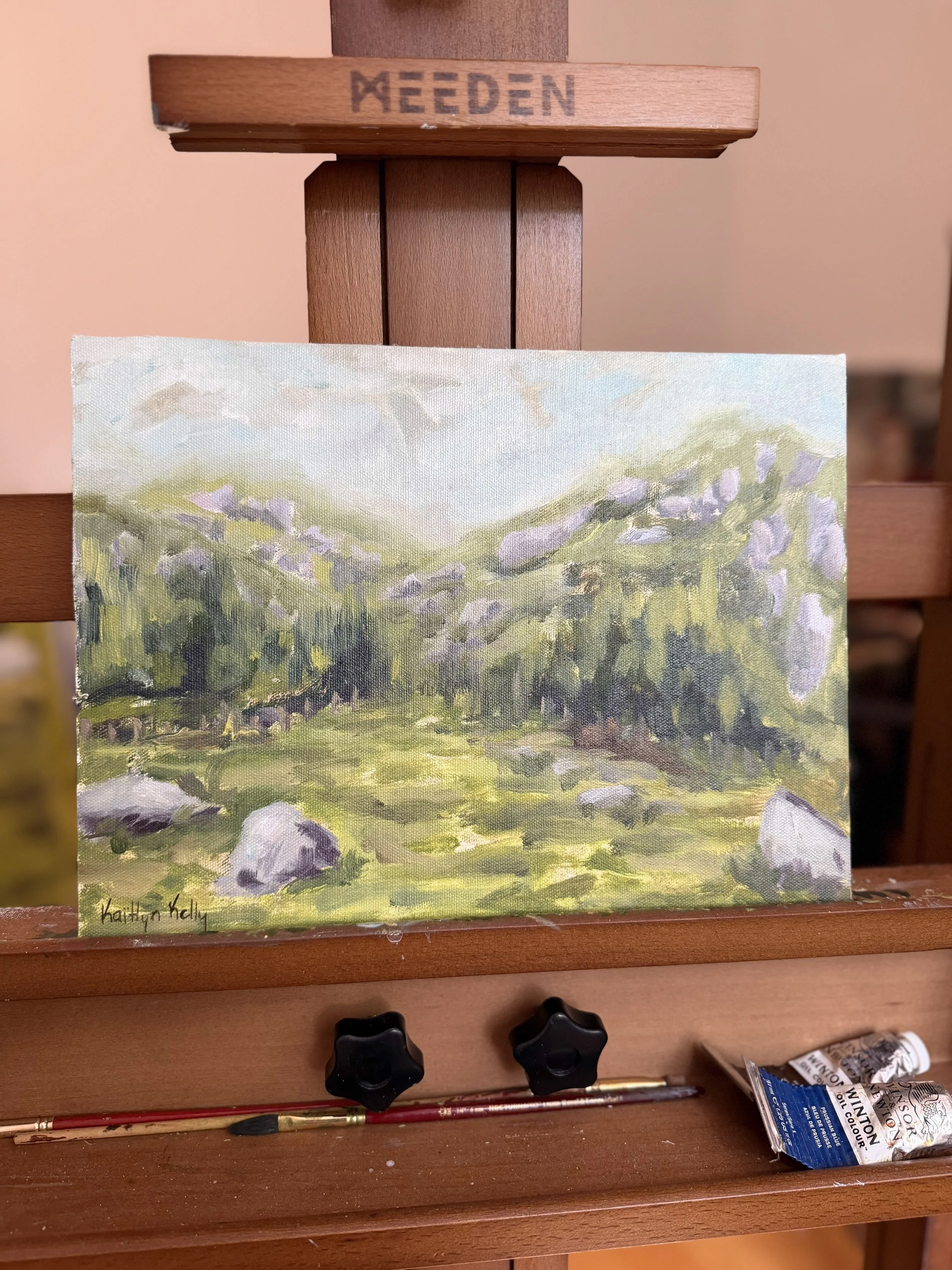 Study 002