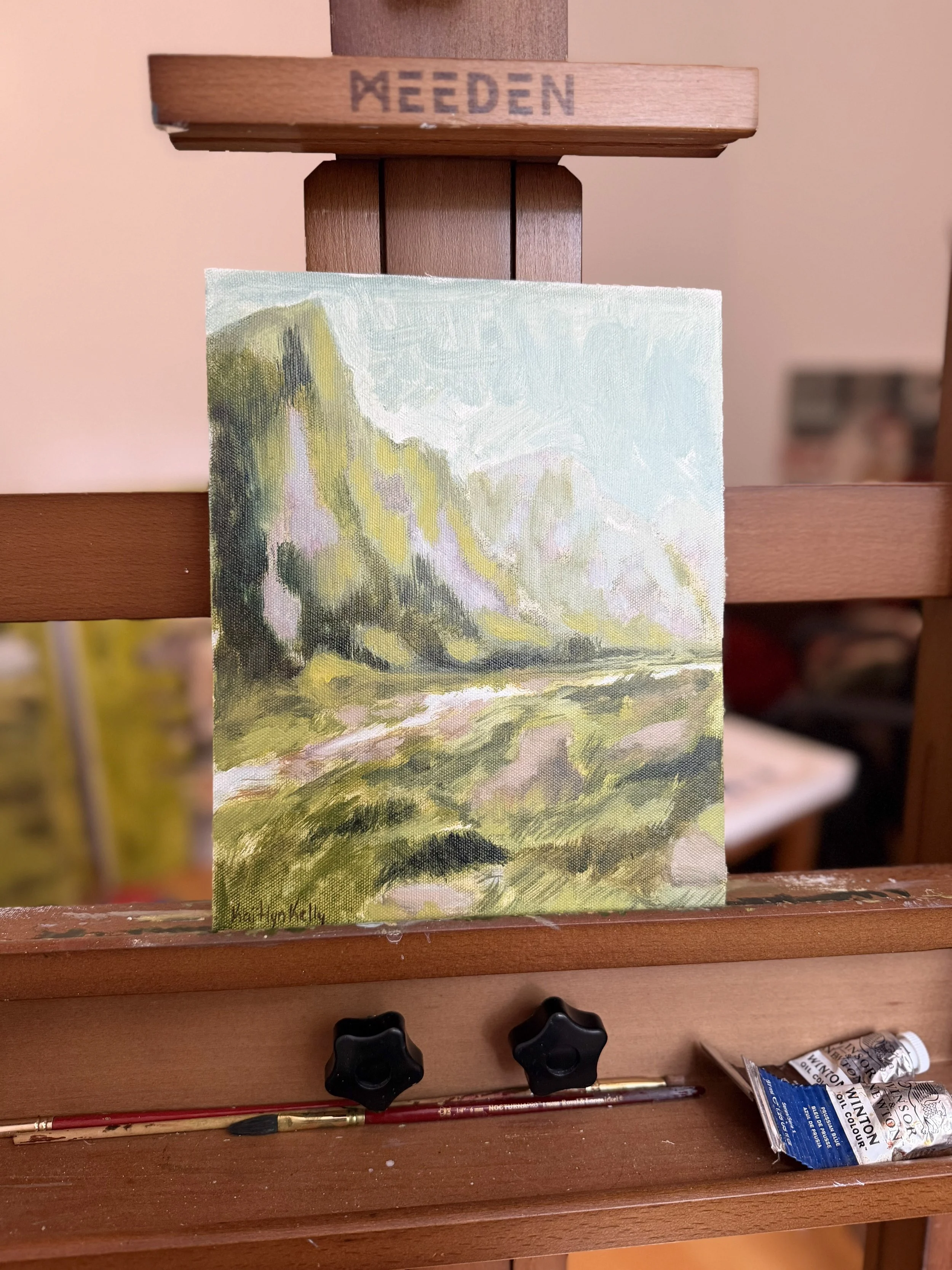 Study 006