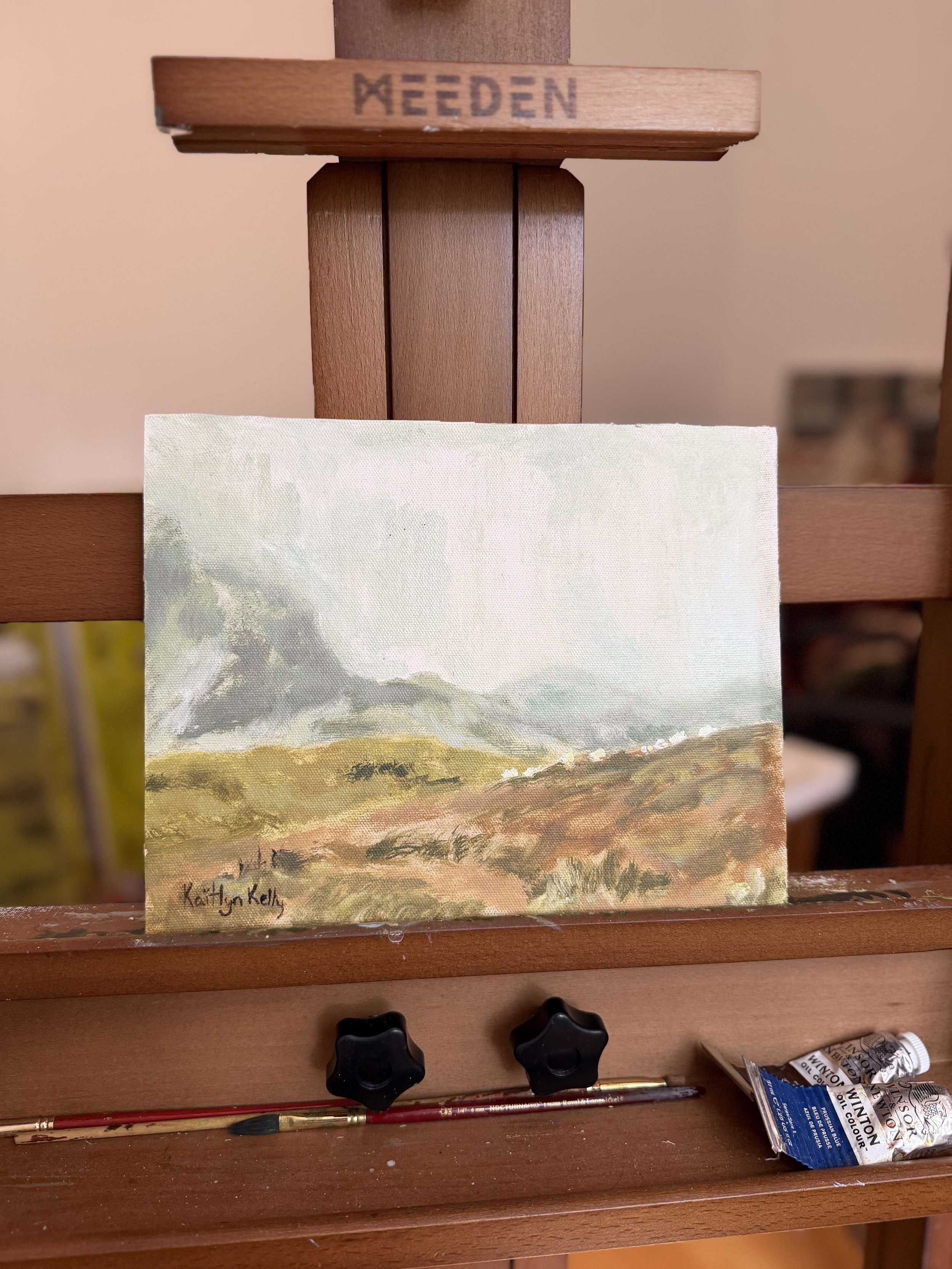 Study 004