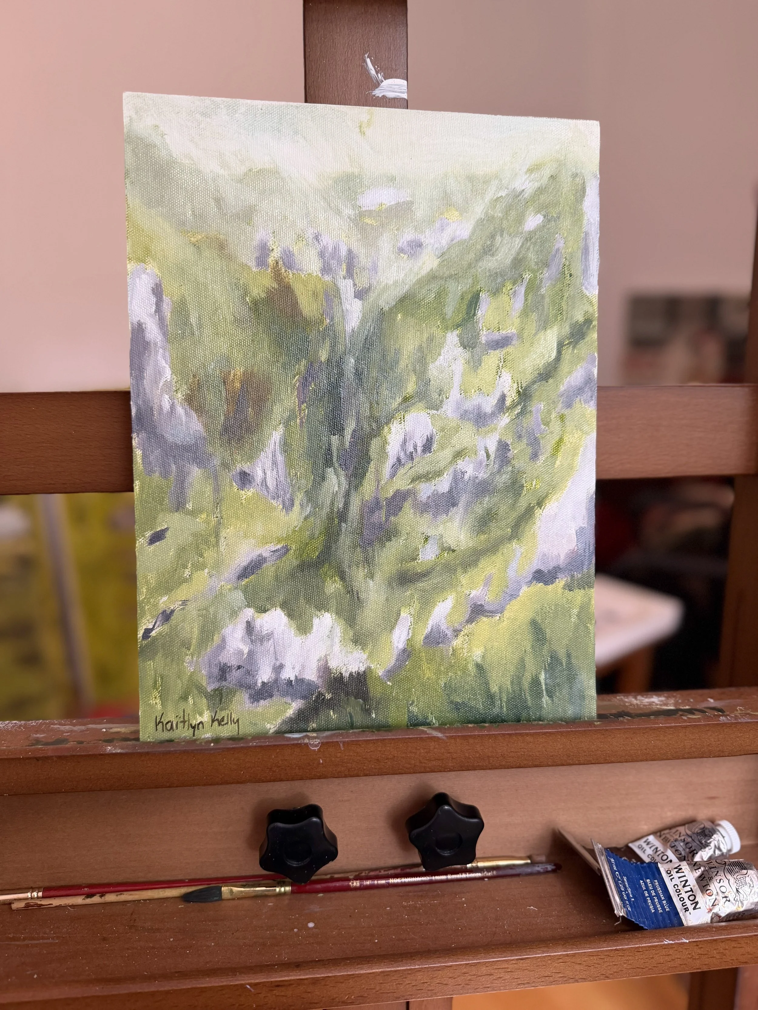 Study 001