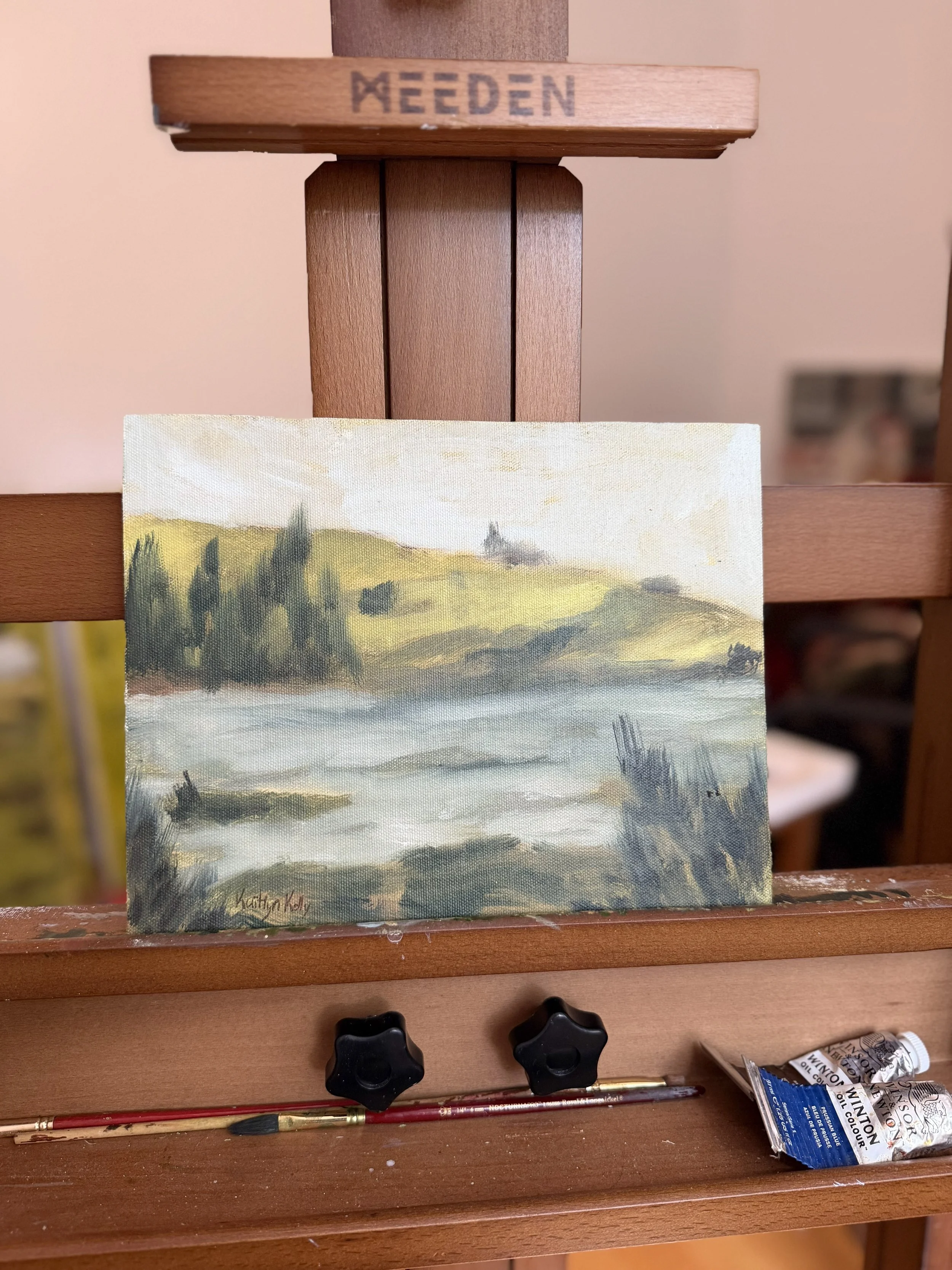 Study 009