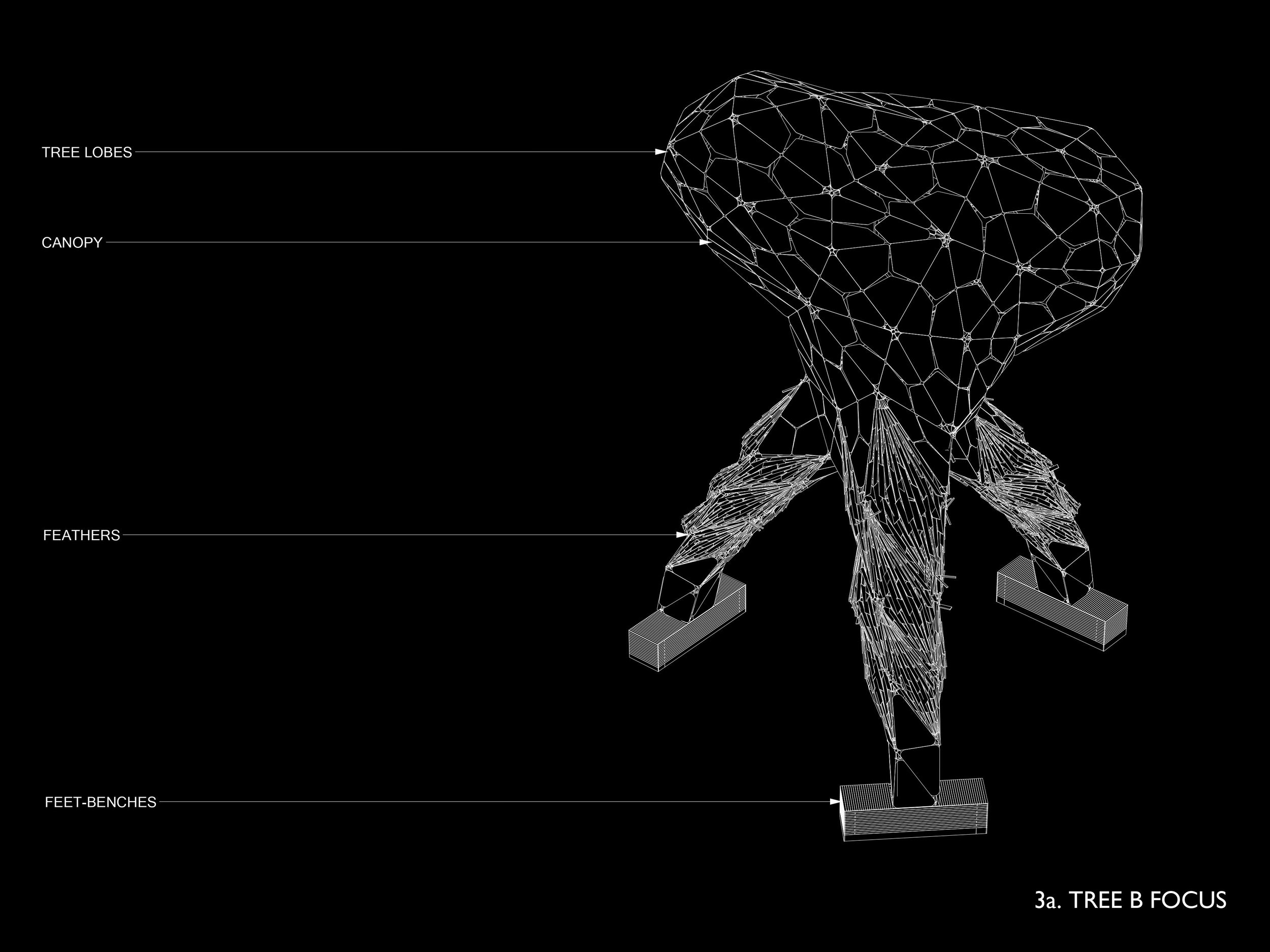 A digital wireframe drawing of a tree with labels pointing to its parts: tree lobes, canopy, feathers, feet-benches, and tree B focus.