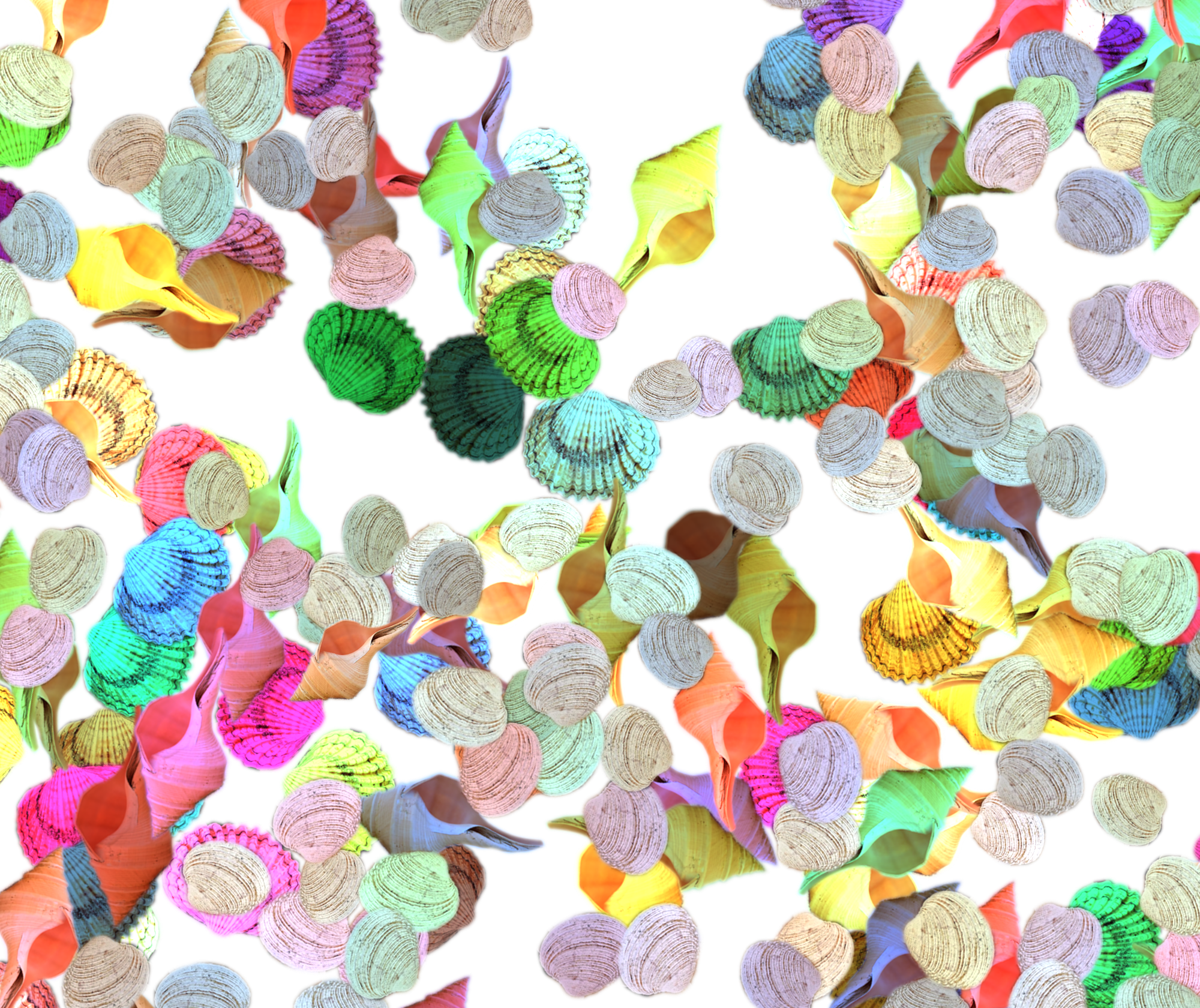 Colorful assorted seashells arranged in a circular pattern.
