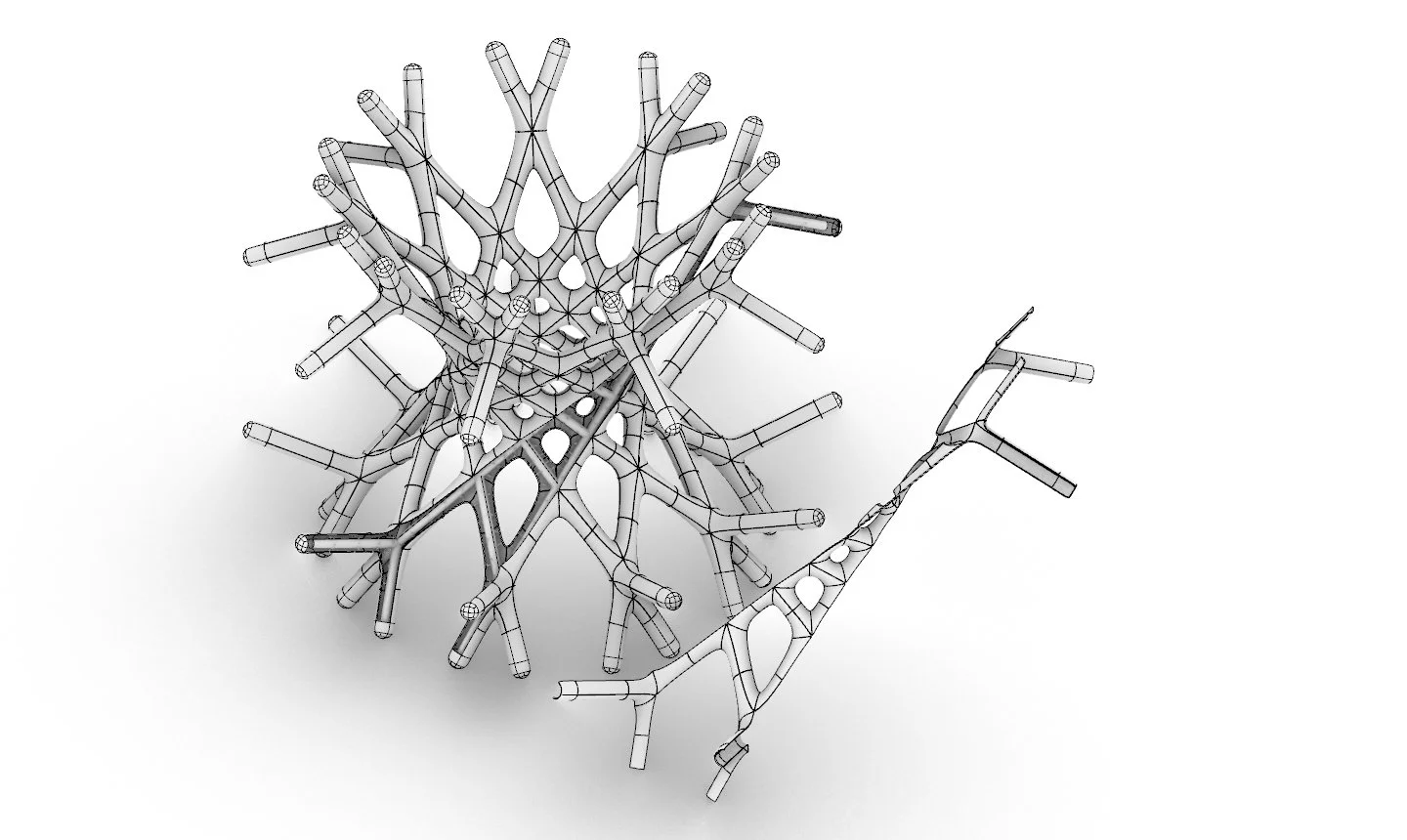 3D wireframe model of a complex geometric structure resembling a coral or branching organism.