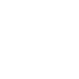 Icon of a house with a peaked roof and a centered door.