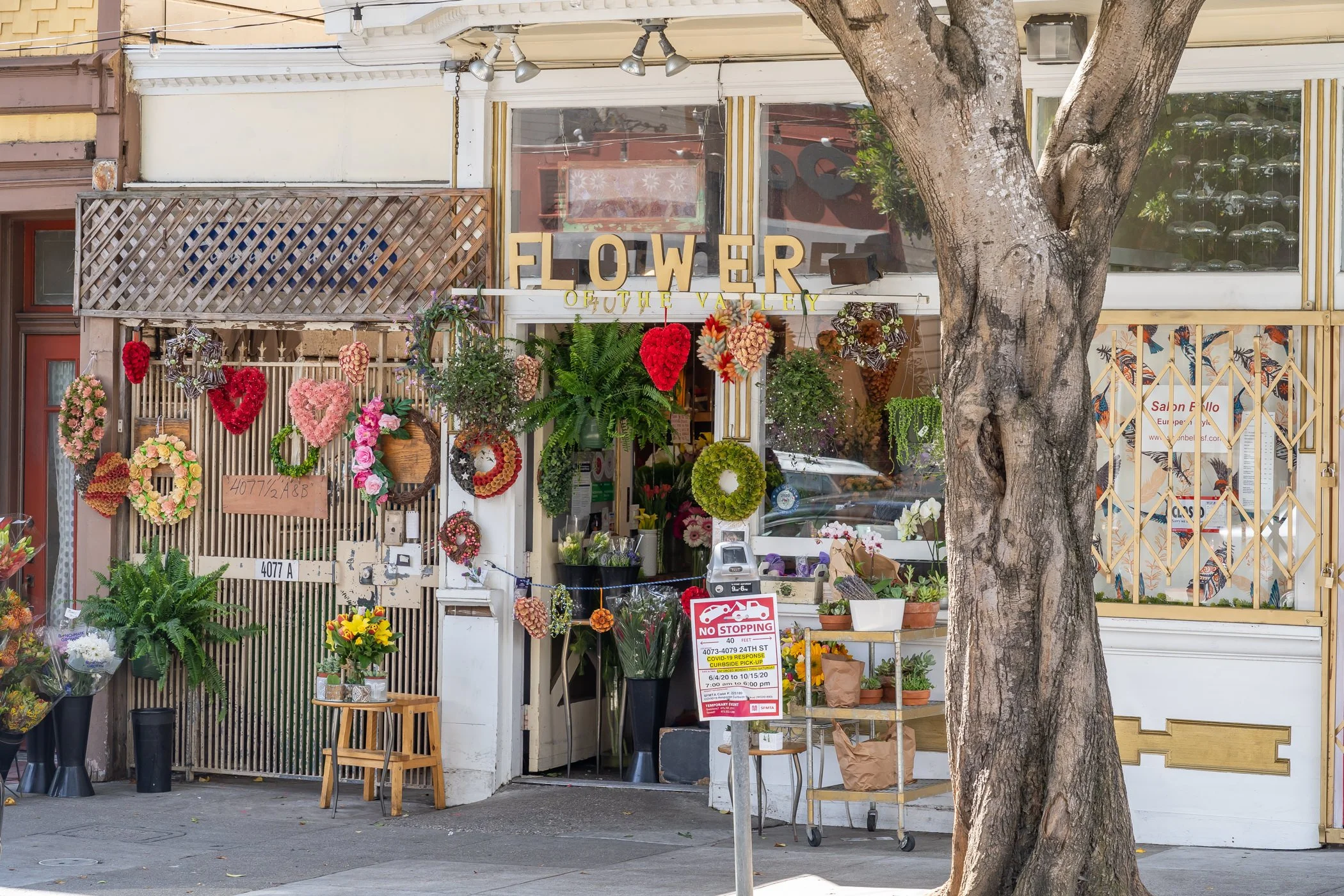 A flower shop with various floral arrangements and wreaths outside, signage reading 'FLOWER OF THE VALLEY,' and a large tree in front.