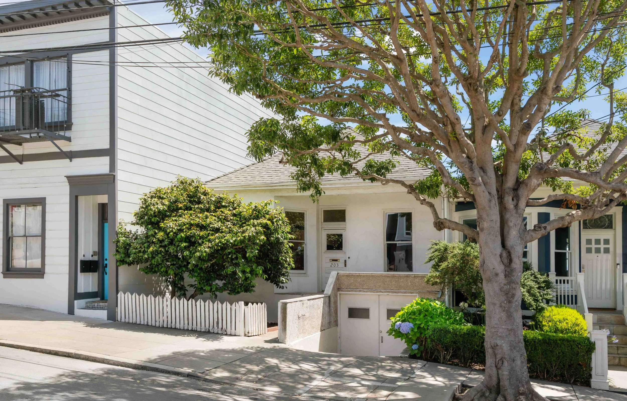 White residential building with black trim and a small front yard, featuring a large tree with green leaves and a branch arm extending over the sidewalk.