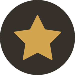 Golden star icon on dark background