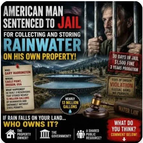 who Owns The Rain?
