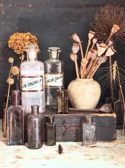 What Grew Outside Was Once the Medicine Cabinet