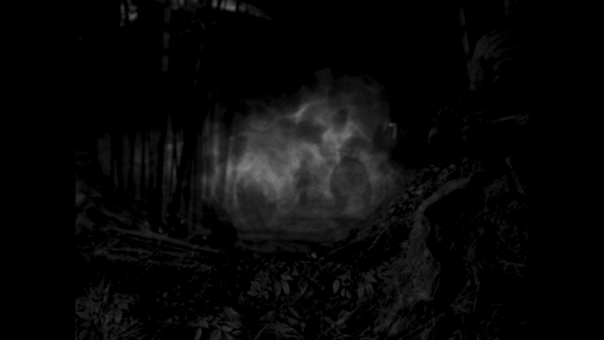 KWM_fh2202_halloween-traile_1080p30_nosub_v4.mov_20230814_202603.285.png