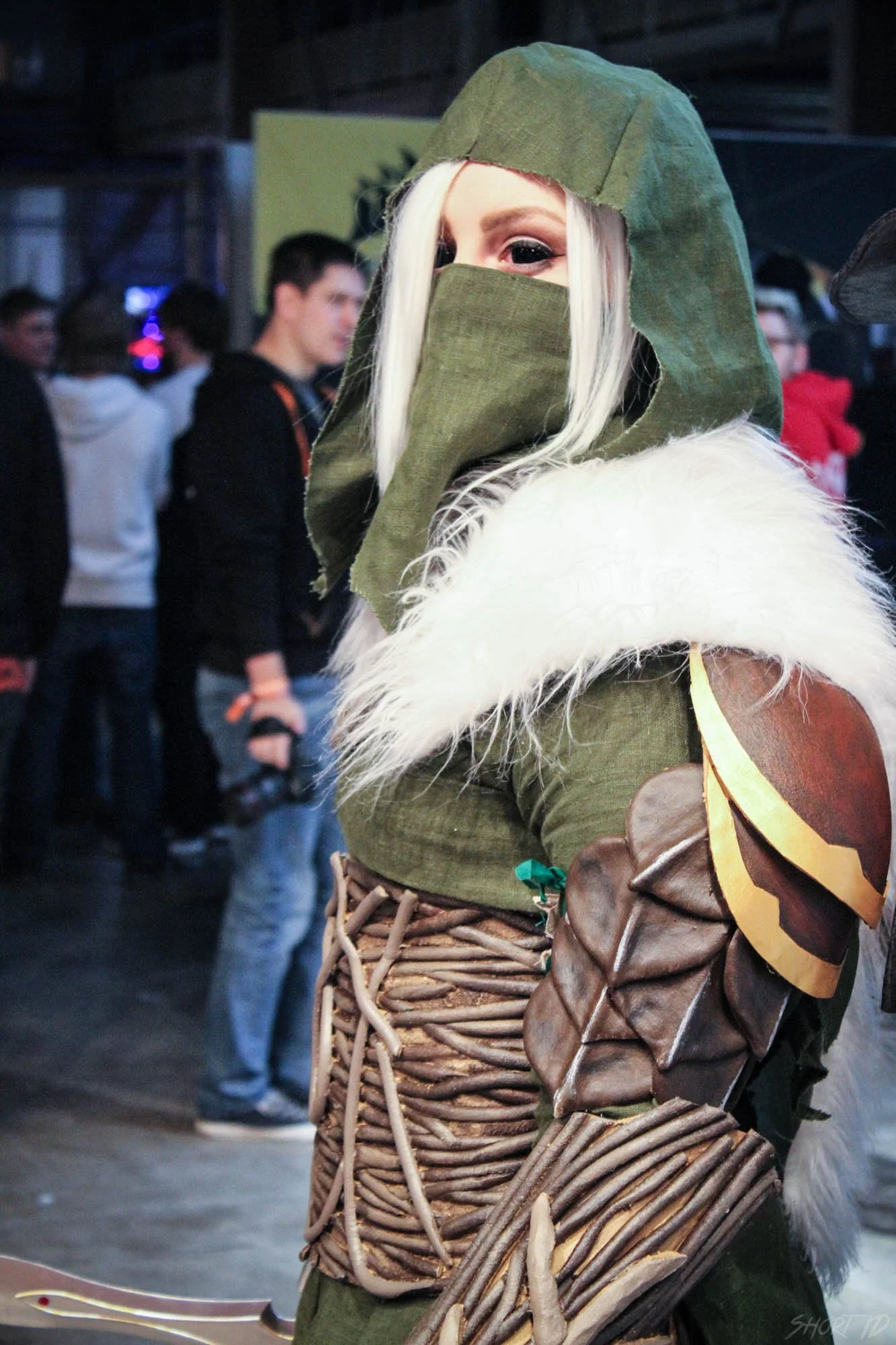 dh-winter-2015---cosplay_26330150571_o.jpg