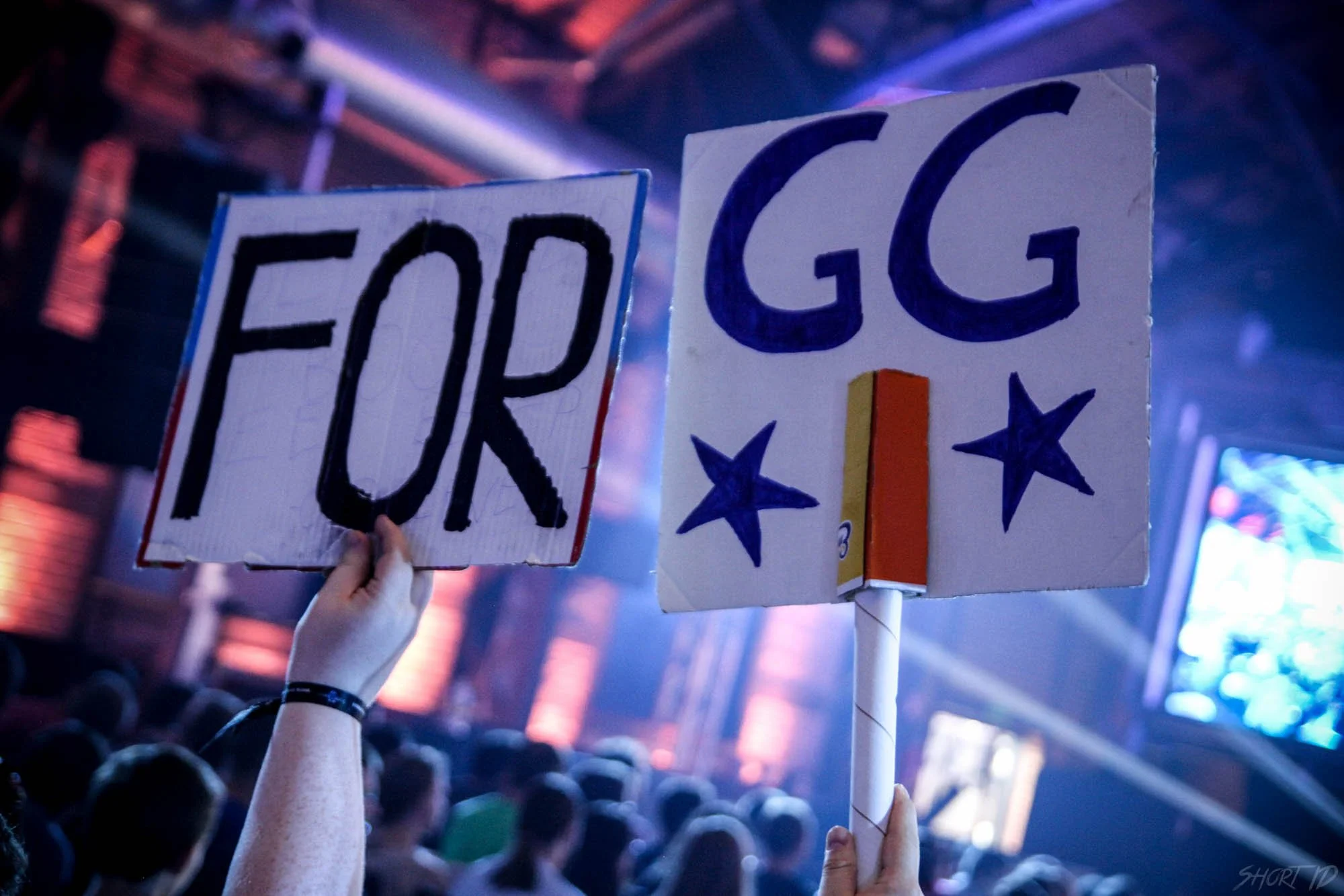 wcs-saison-3---fan-support-forgg_25793858413_o.jpg
