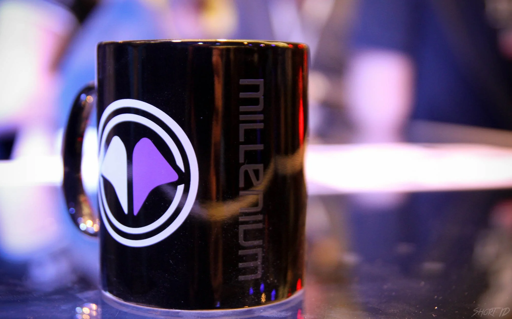 dh-tours---mug-millenium_26396264705_o.jpg