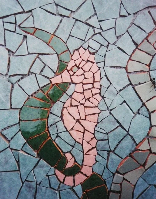 seahorse.jpg.webp