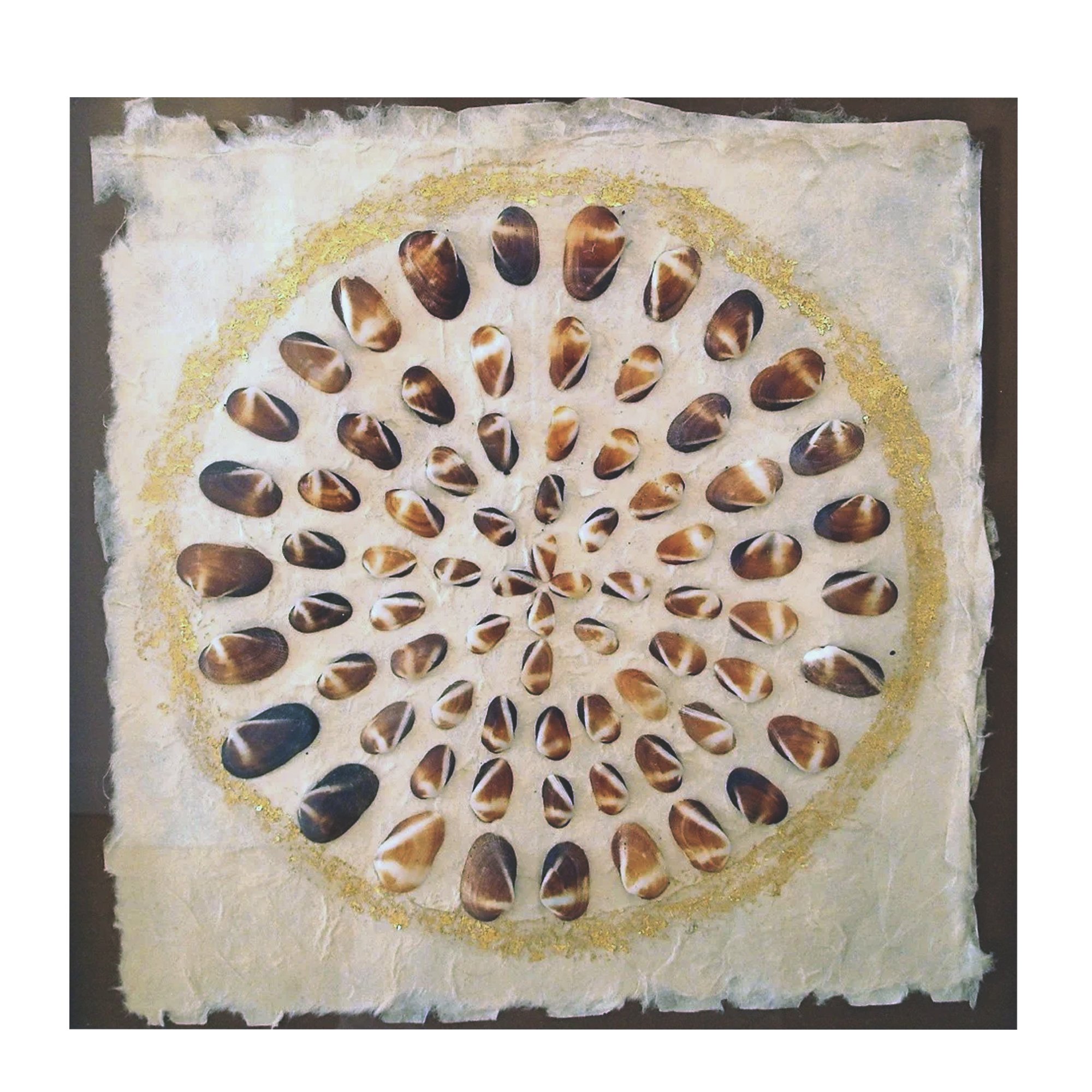 Clam mandala .jpg