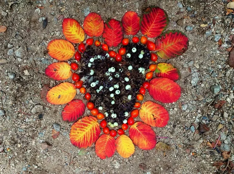 Ecolove+.jpg.webp
