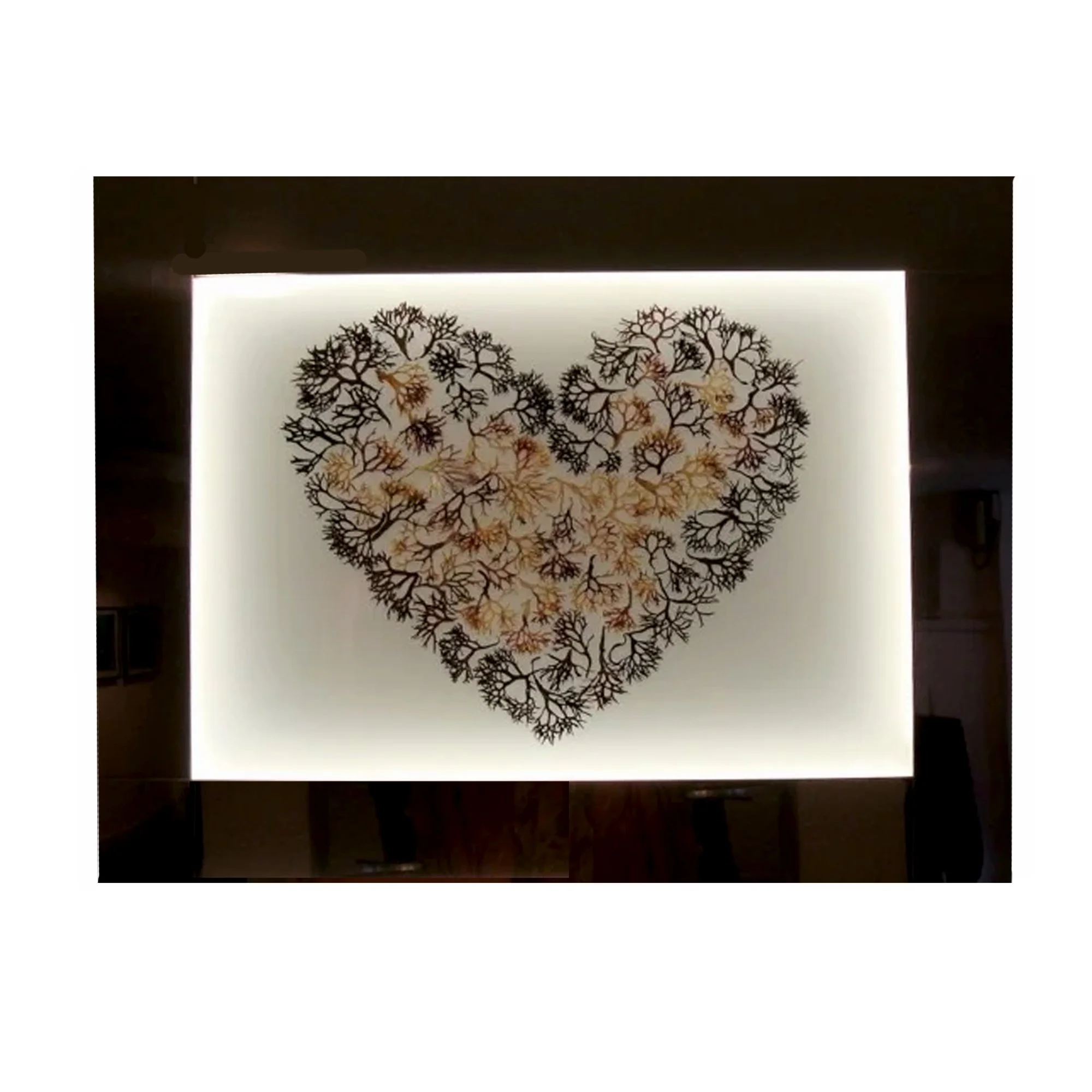 Seaweed heart .jpg