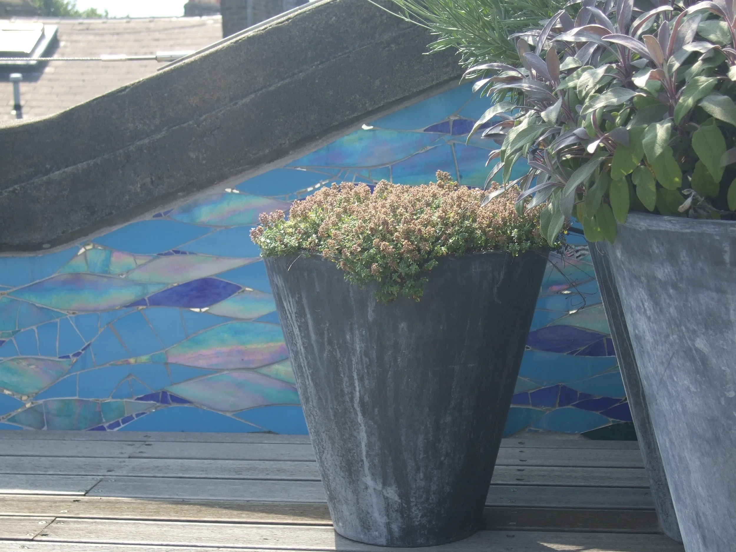 DSCF2489.jpg