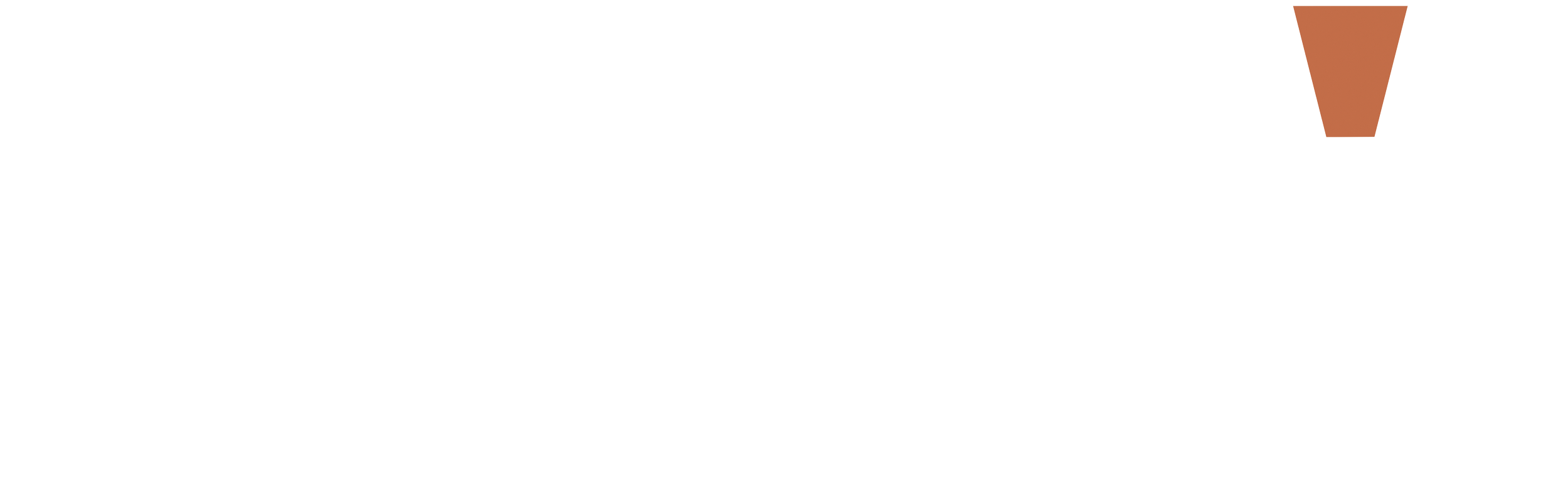 Petra - The All-in-One Construction Marketing Platform