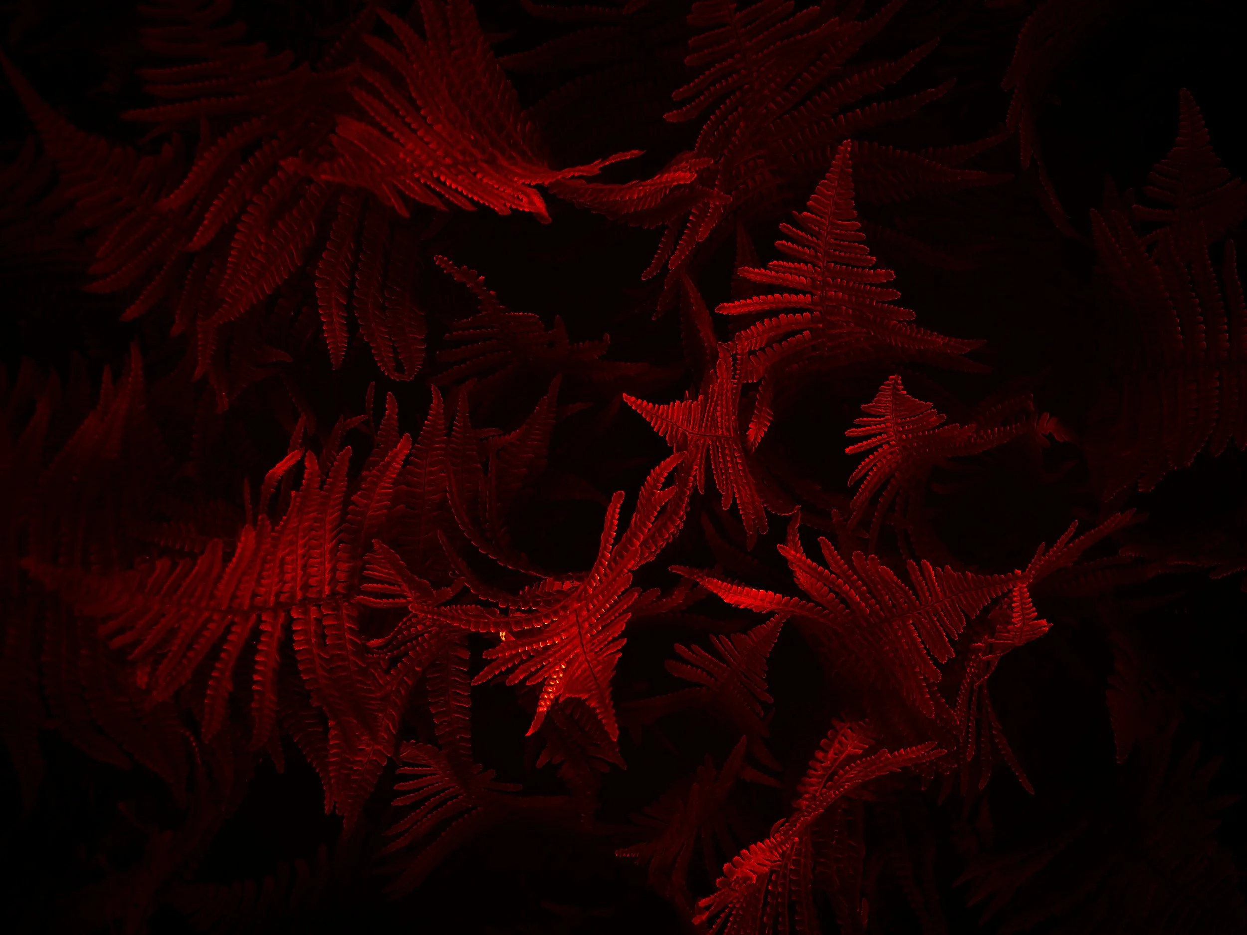 unsplash-image-F6hY5EpgPT8.jpg