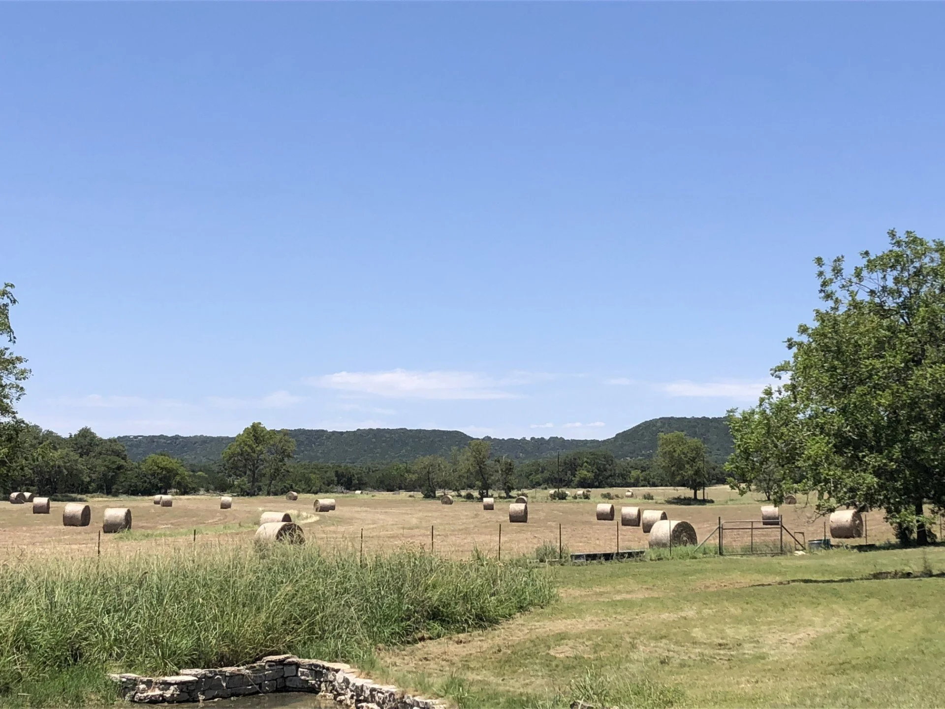 A large sunny field with scattered hay bales, surrounded by trees and distant hills under a beautiful blue Texas sky. This is ranch life