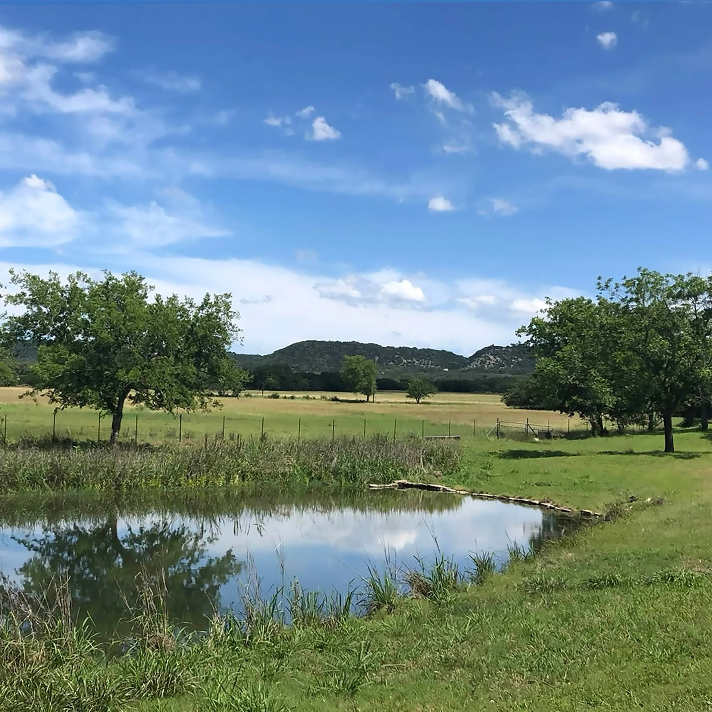 Pond-in-Valley-1-1.jpg