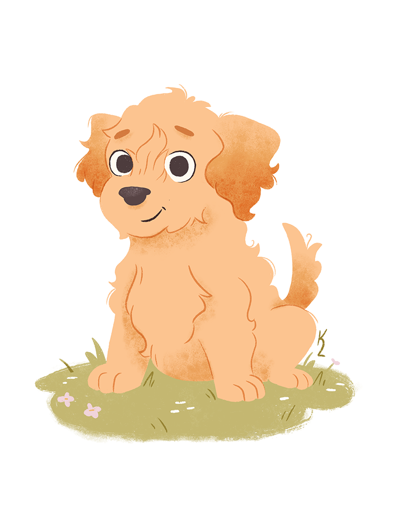 Goldendoodle.png