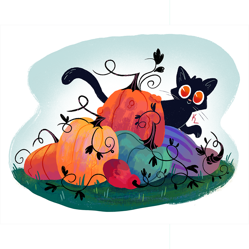 Pumpkin Patch