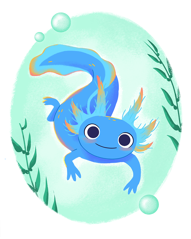 Nursery and Pet Illustrations