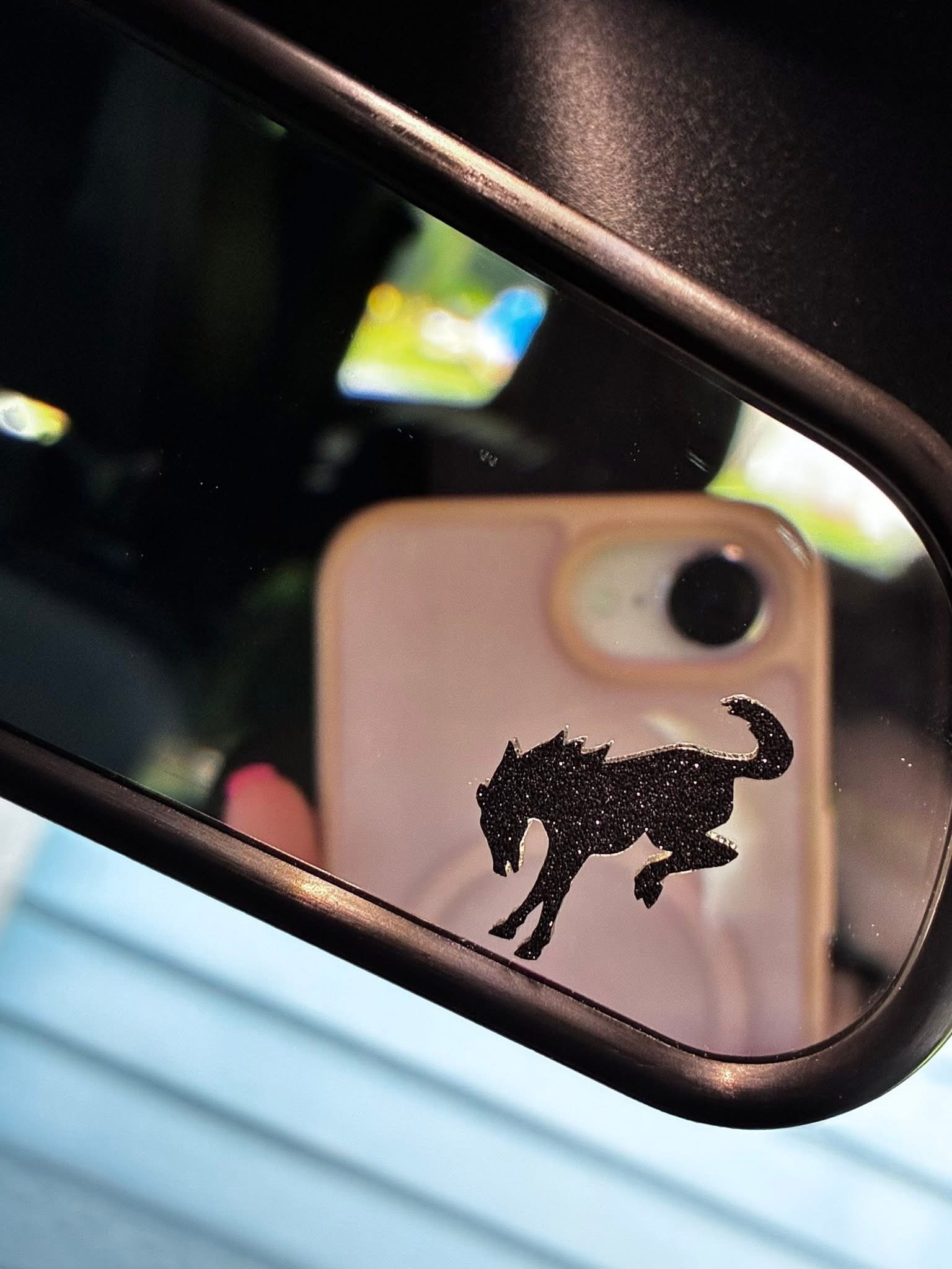 bronco rearview mirror.JPG