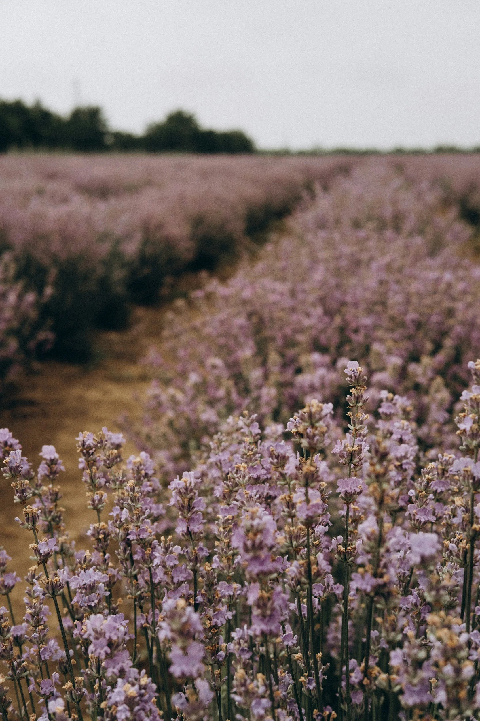 What PMDD Actually Feels Like (and Why It’s Not Just a Bad Period)