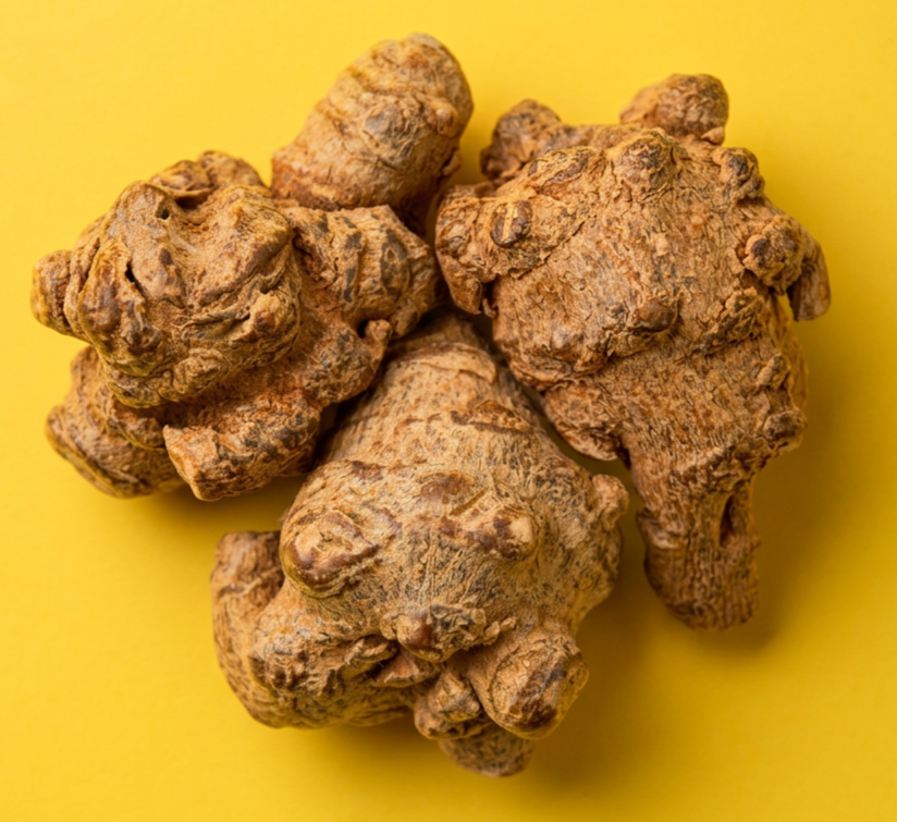 A close-up photograph of several ginger roots on a yellow background.