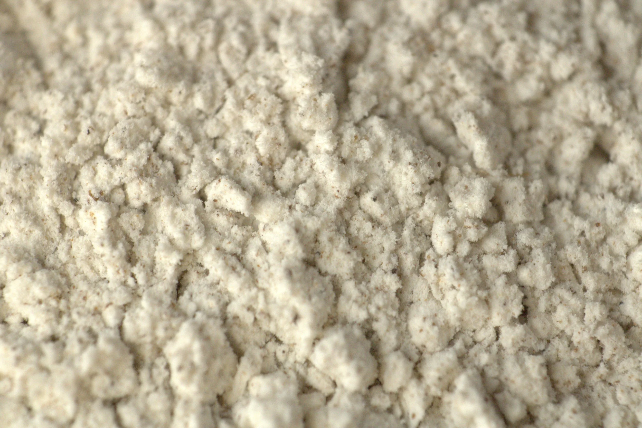 Close-up of a textured, granular light beige powder.