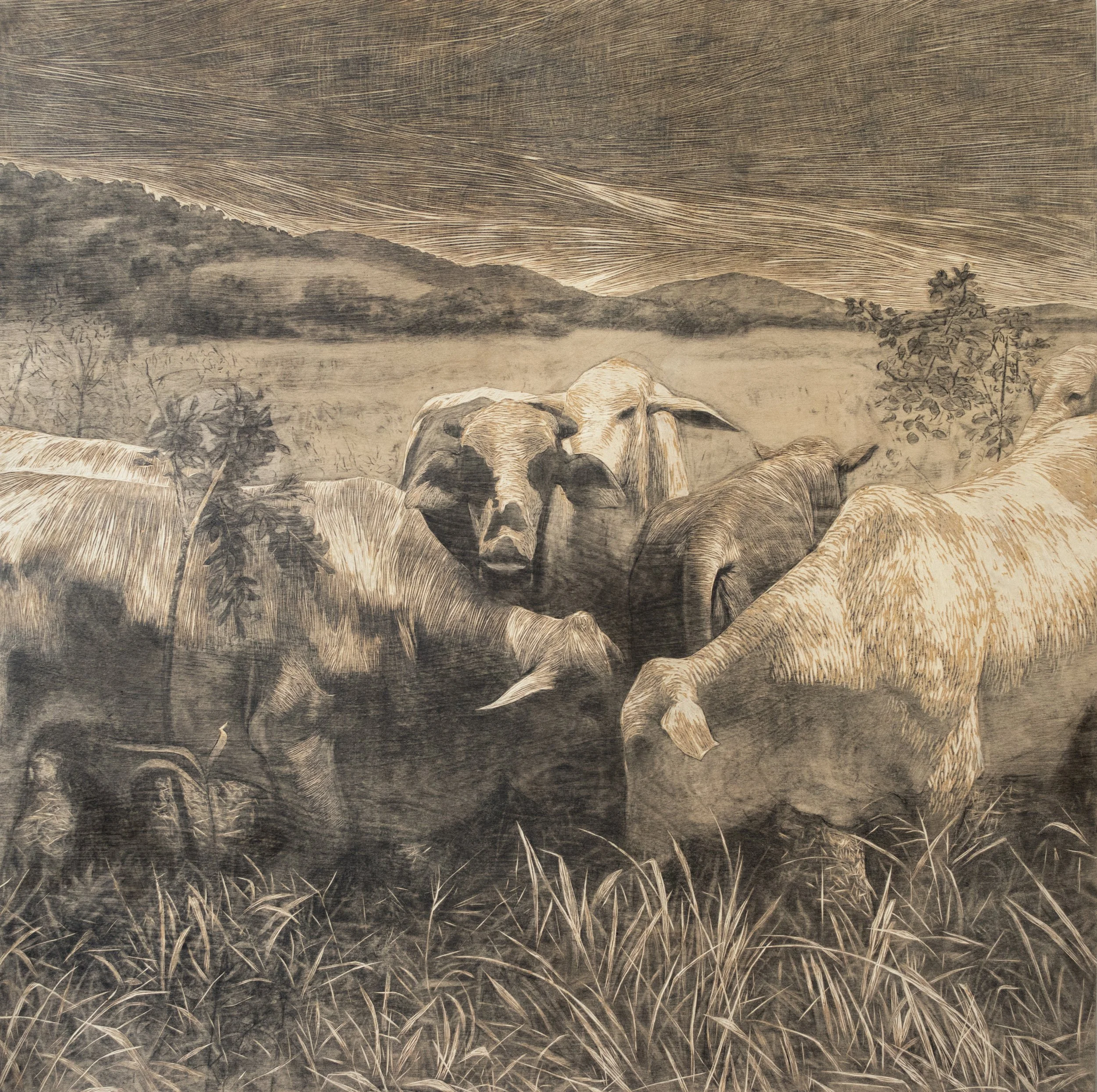 Ganado, 2017. Woodblock - 48 x 48in. Private collection.