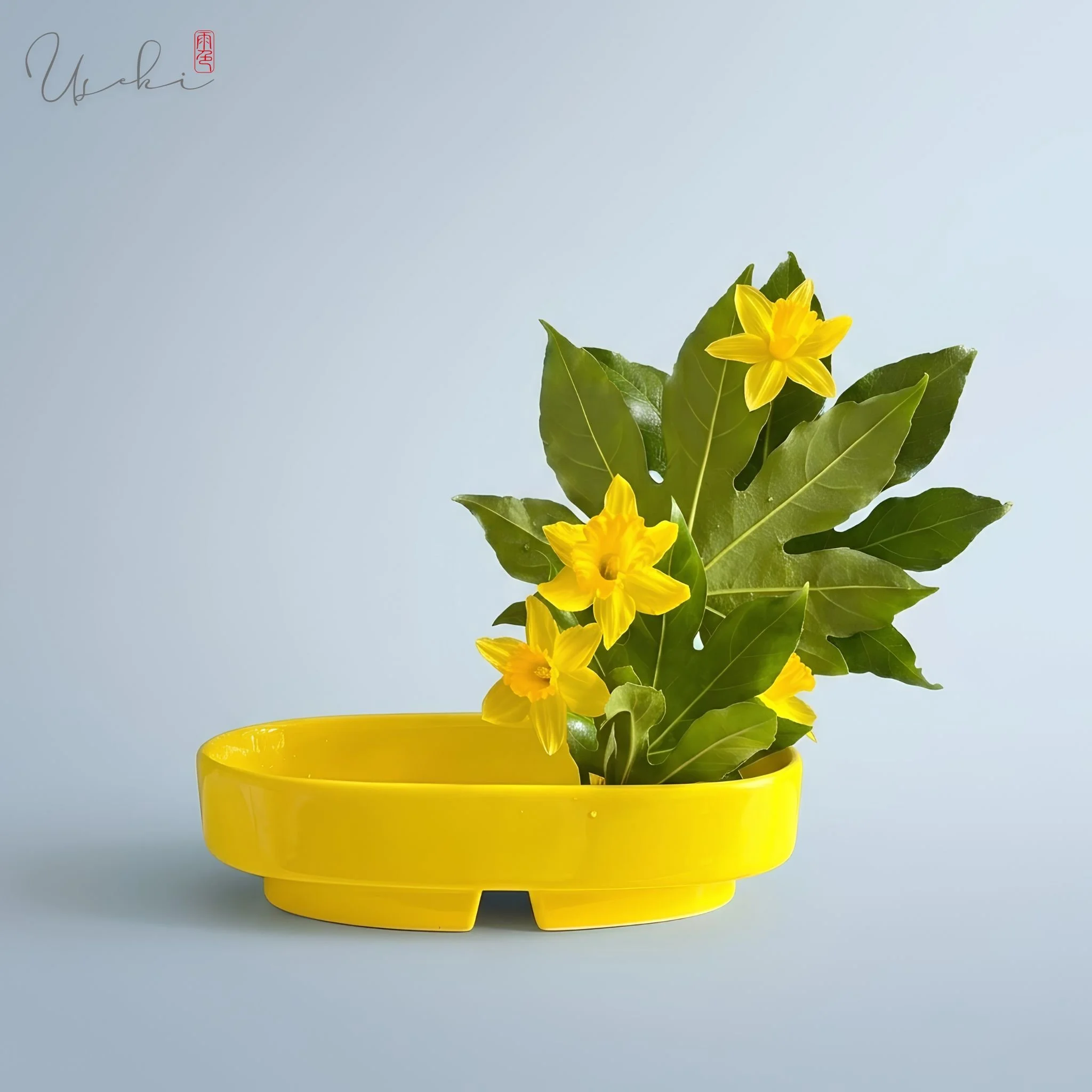 Sogetsu Ikebana low yellow ceramic oblong boat arrangement with bright daffodil flowers